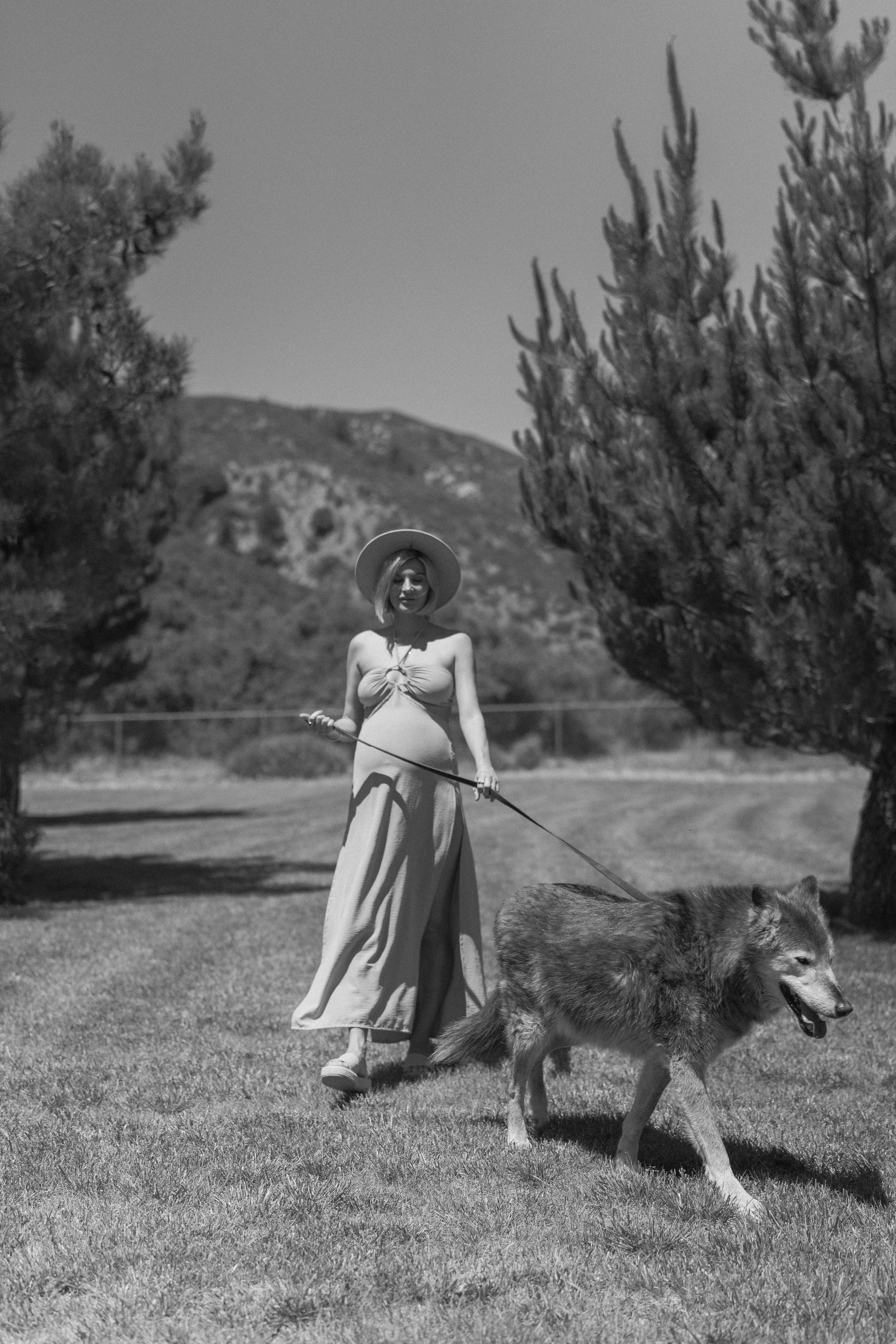Kristina and Baby Wolf. Pregnancy Photoshoot. Portrait, family, maternity & wedding photography & videography in SoCal Kseni Vibe