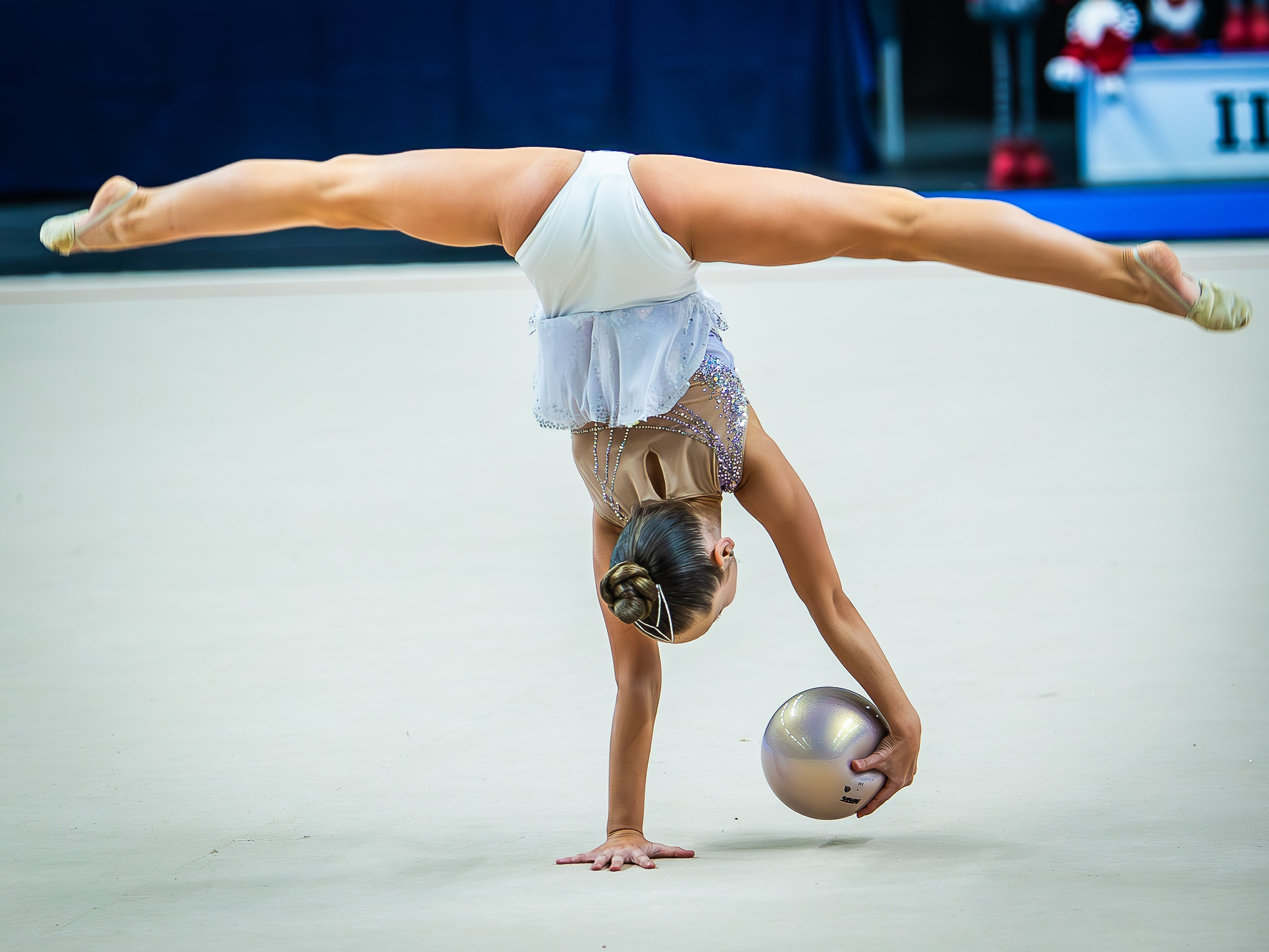 Галерея 1. Спортивная фотография, видео, трансляции