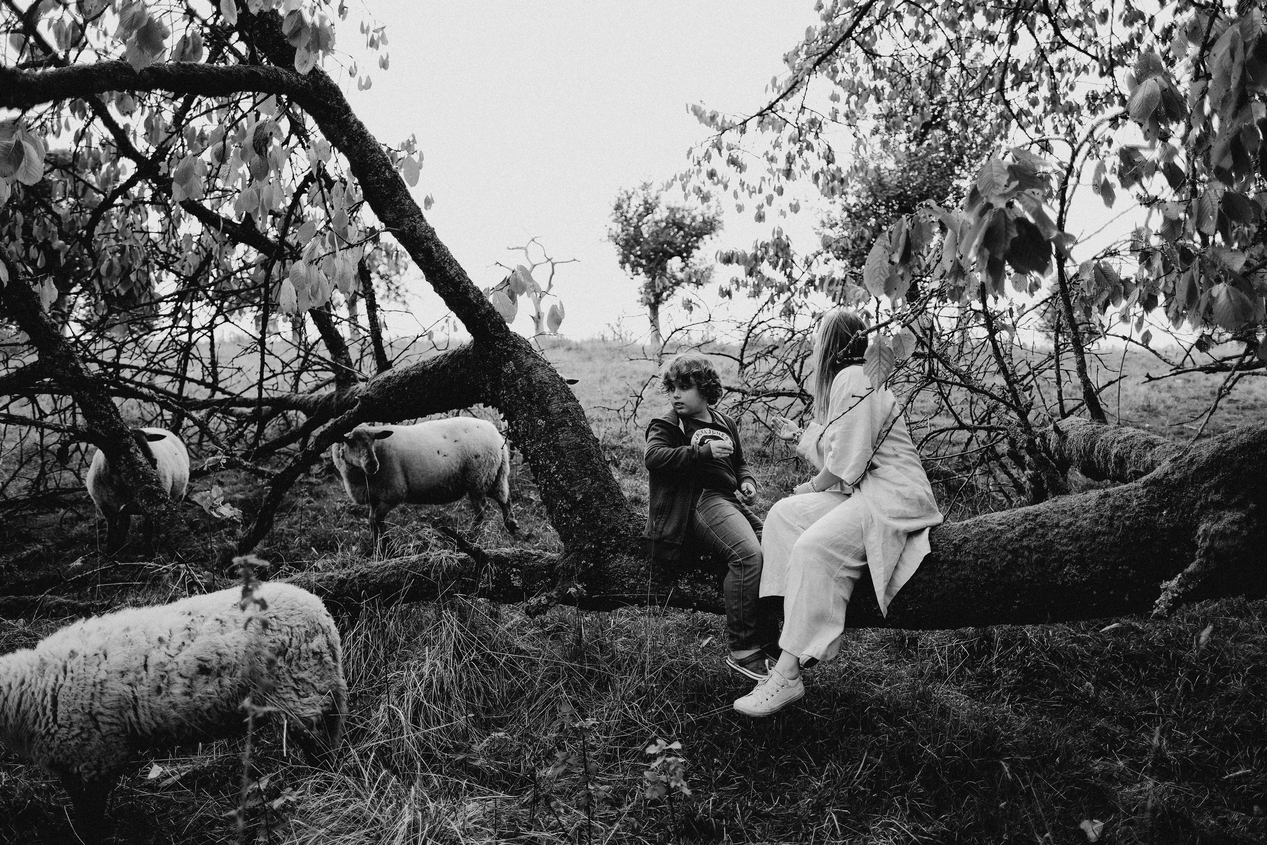 Lena&Lev. Authentische Familienfotografie in Köln