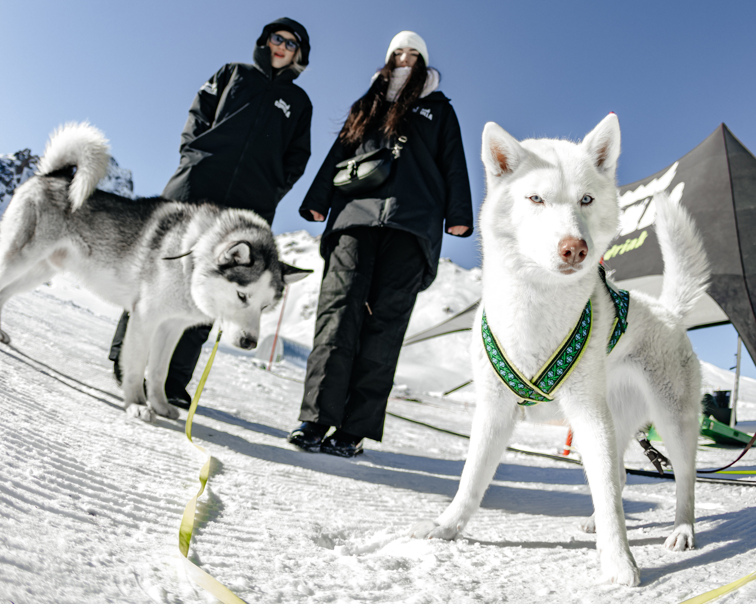 GORILLA CHIMBA PARK — SHRED SLOPE STYLE 21.01.2023. Портретный и спортивный фотограф в Алматы Алексей Овечкин