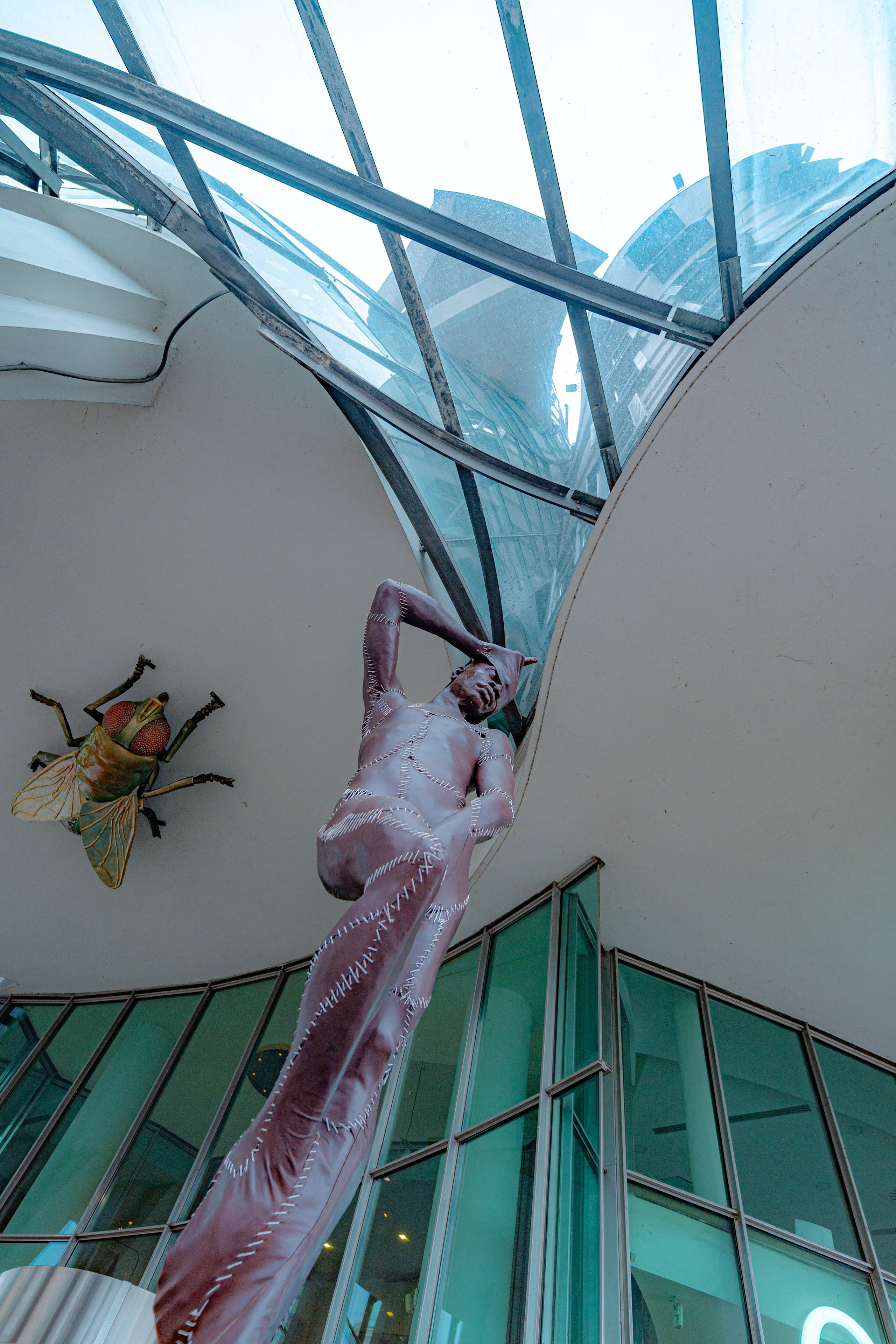 Praga, Febrero 2024. Alba del Norte Studio