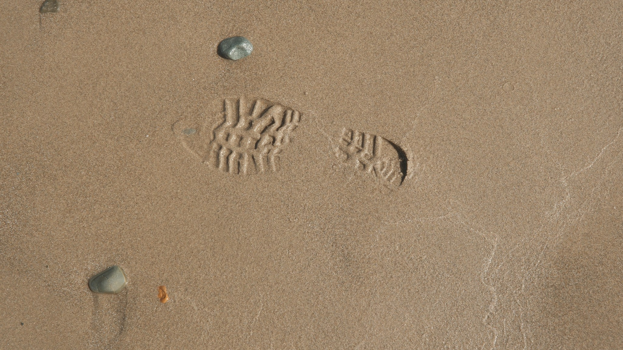 Wales Road Trip 2026. Callum Ecobichon