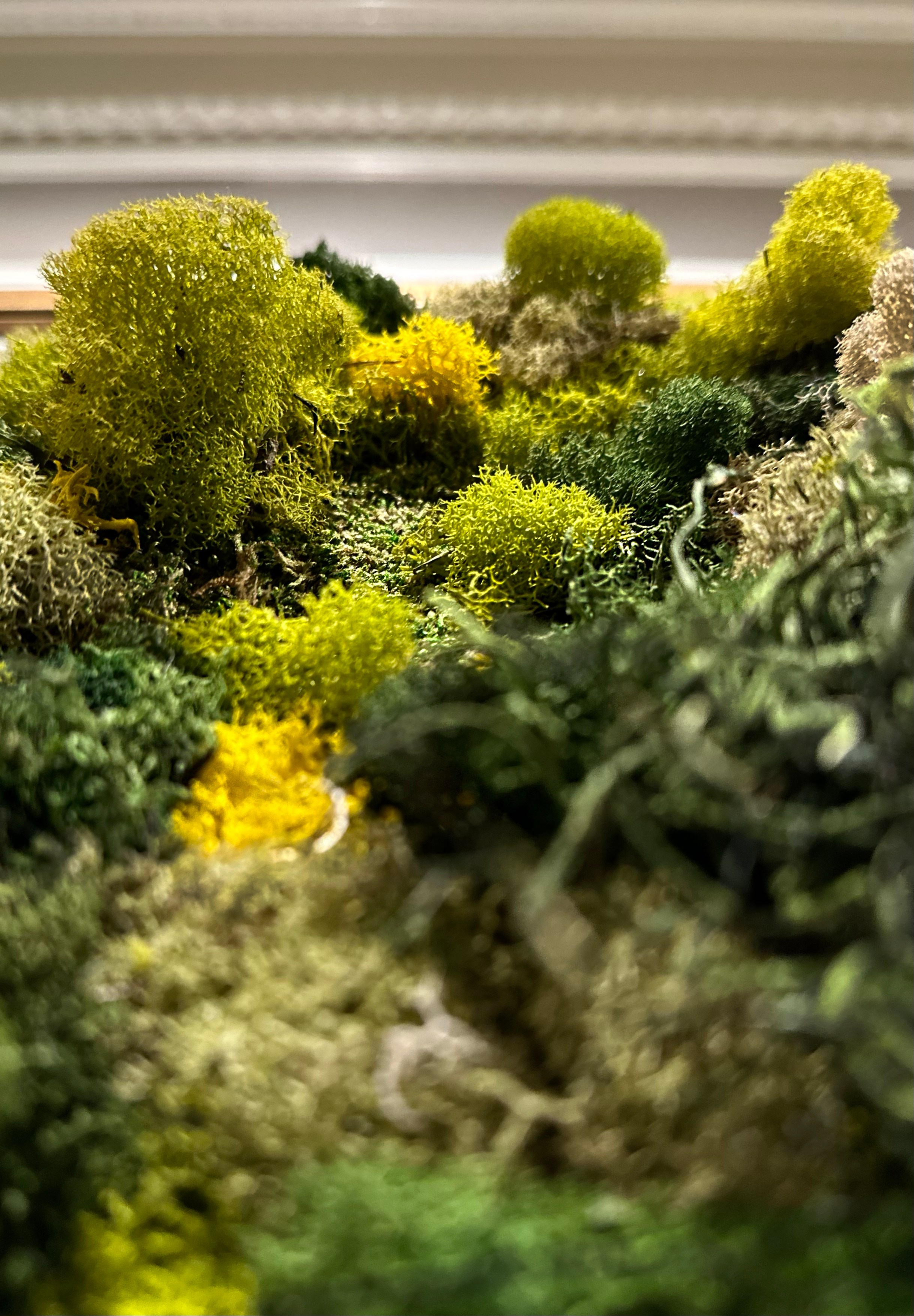 Anna & Moss magic, Content. Yana Bobrova | Artistic Photography