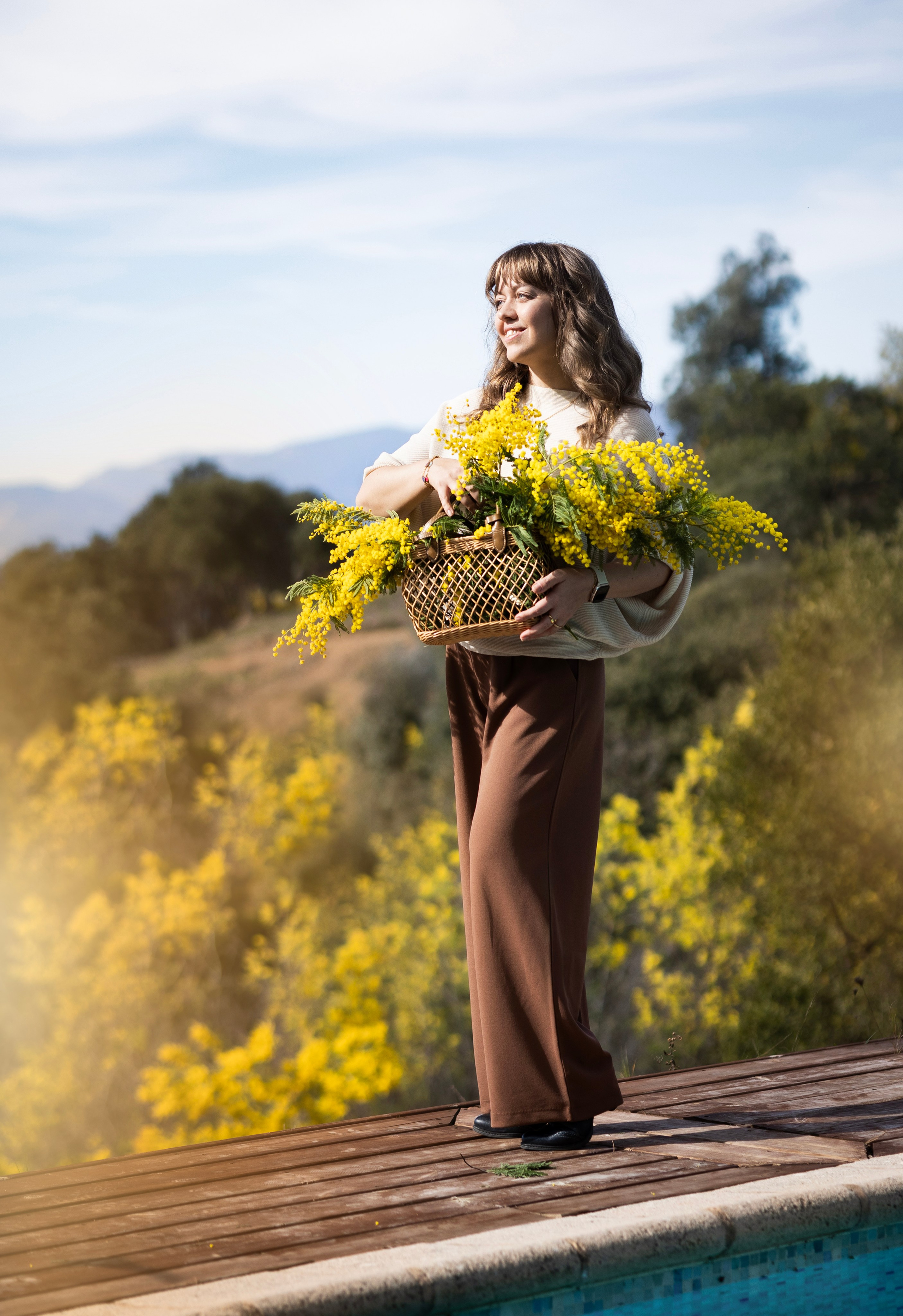 Mimosa. Photographer in Munich