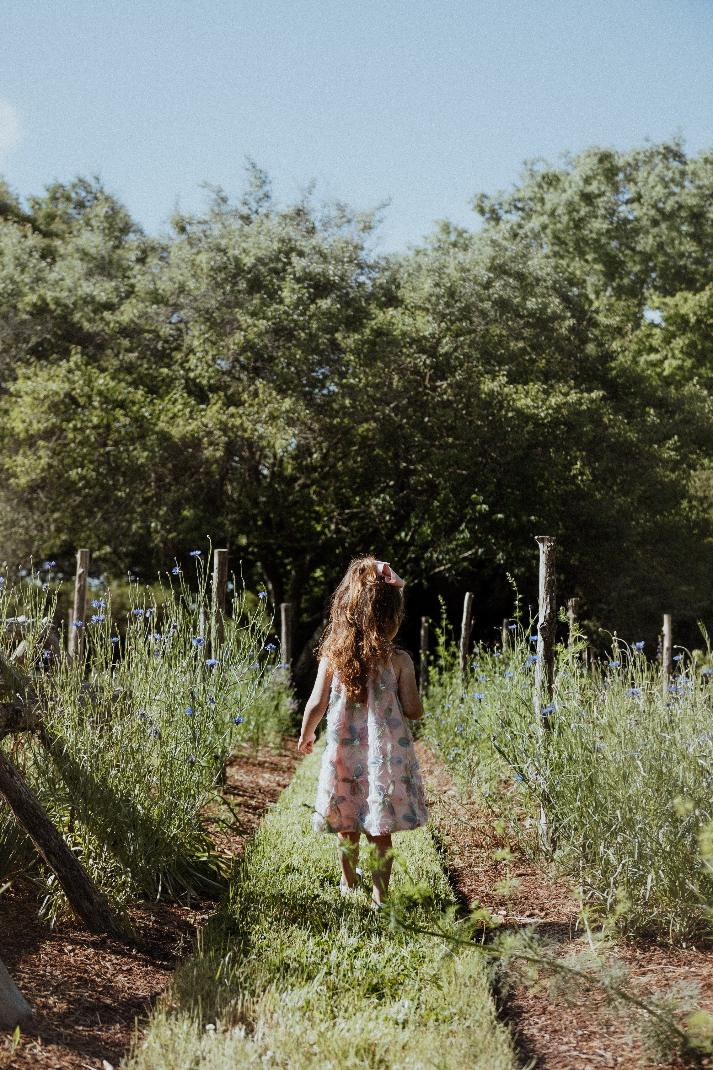 The Carpenters Maternity. Sara Eulalia | Virginia Photographer