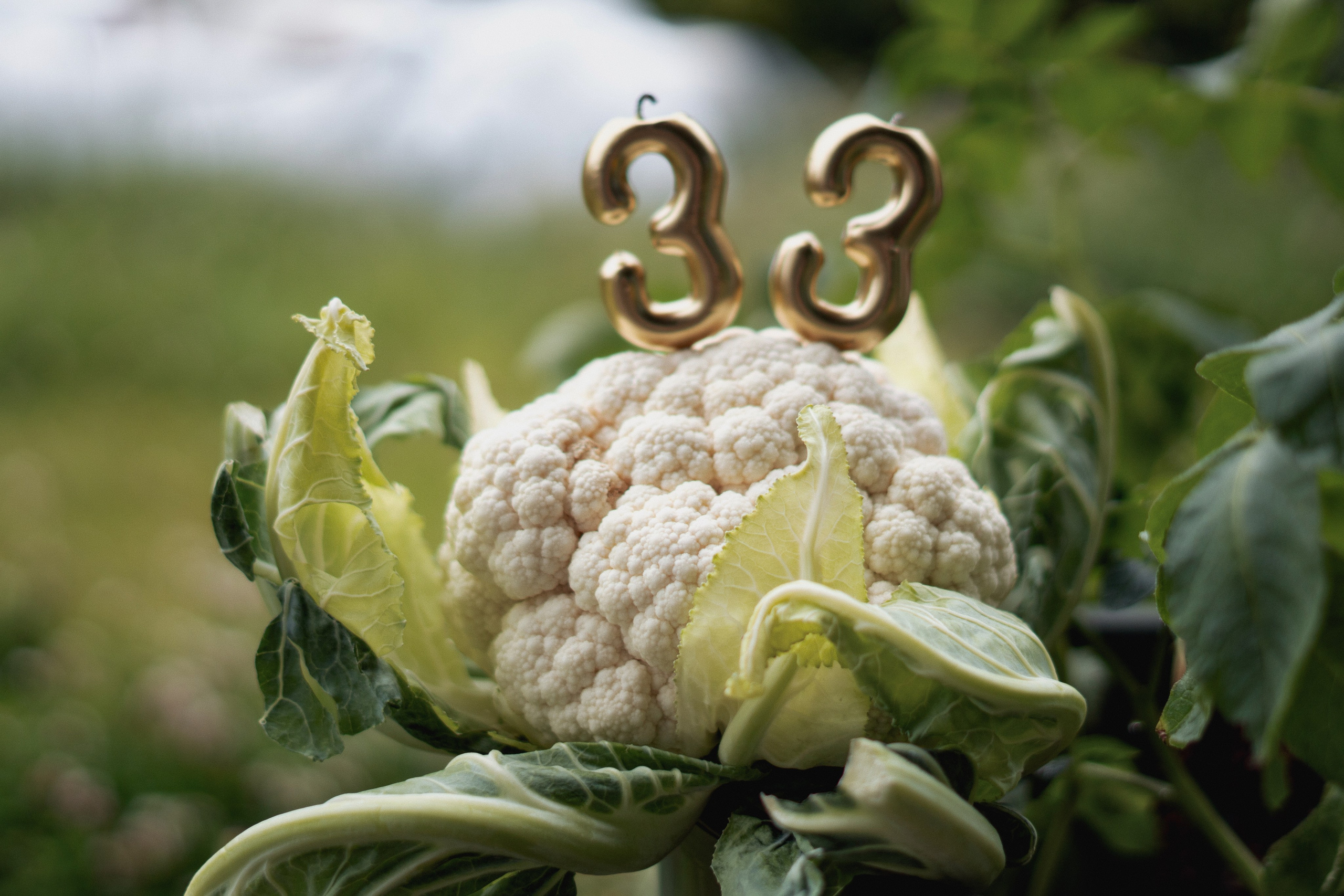 Julia. Family, portrait, and lifestyle photoshoots in Belgium