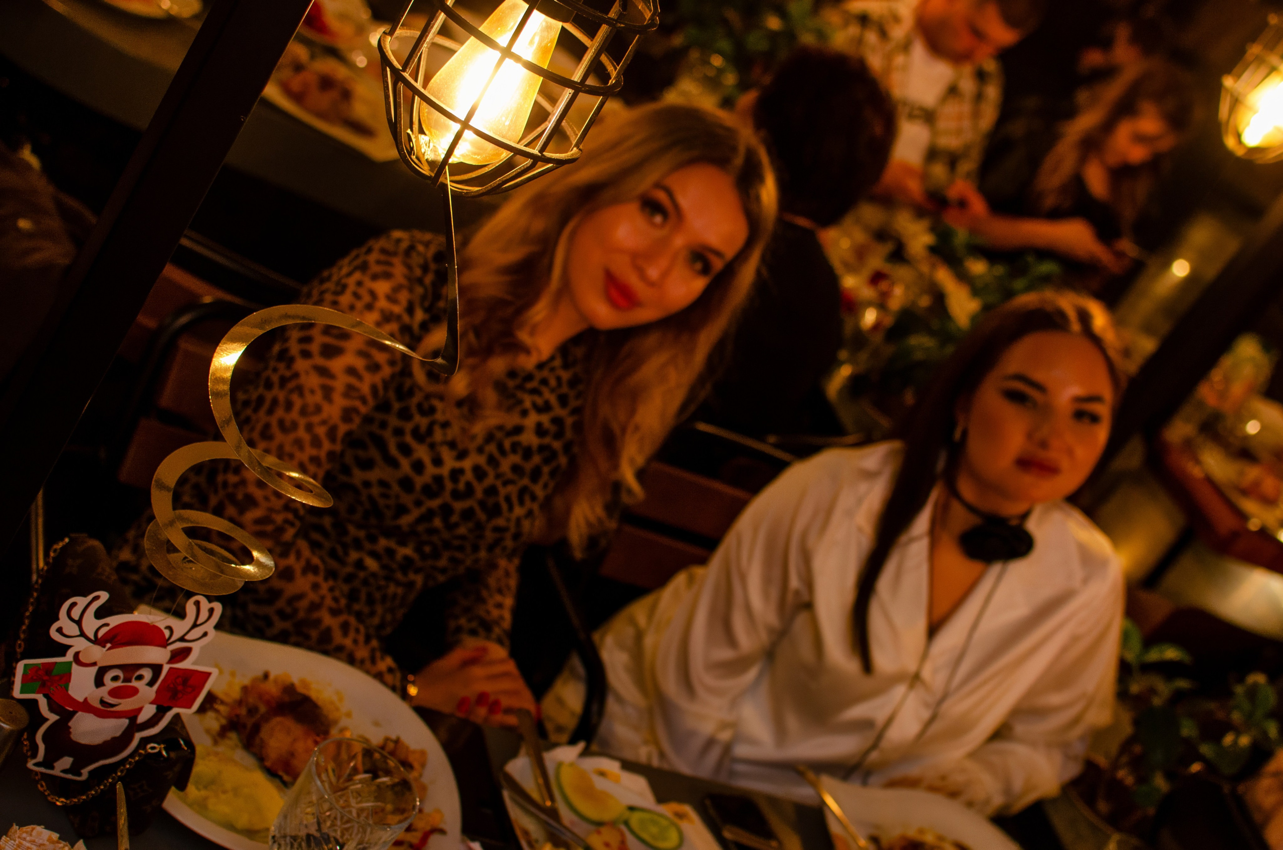 New Year's parties. Event photographer Alena Iurchenko