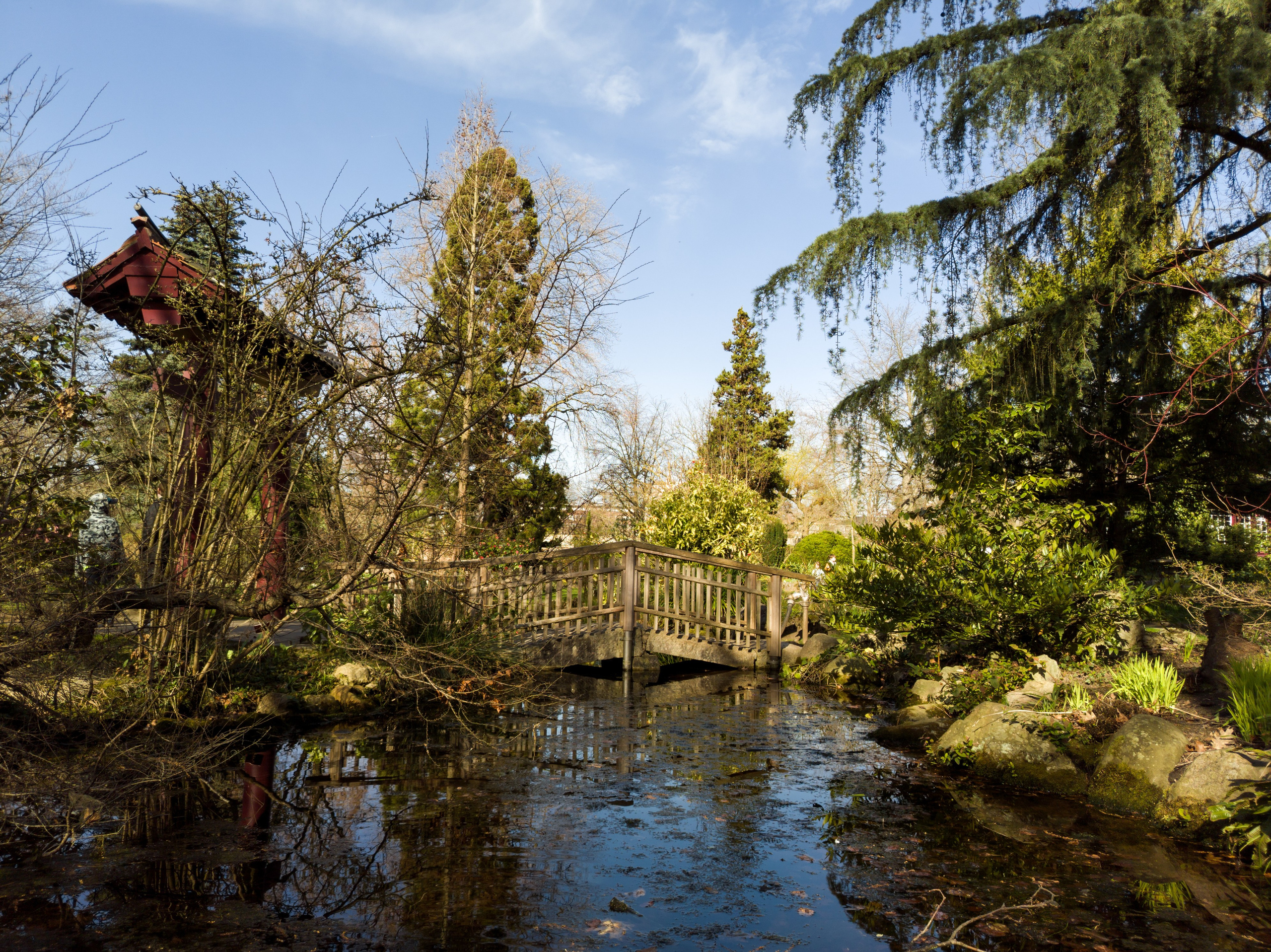 Cologne (Germany) Leverkusen. Fotograf in Köln, Bonn, Düsseldorf, Krefeld