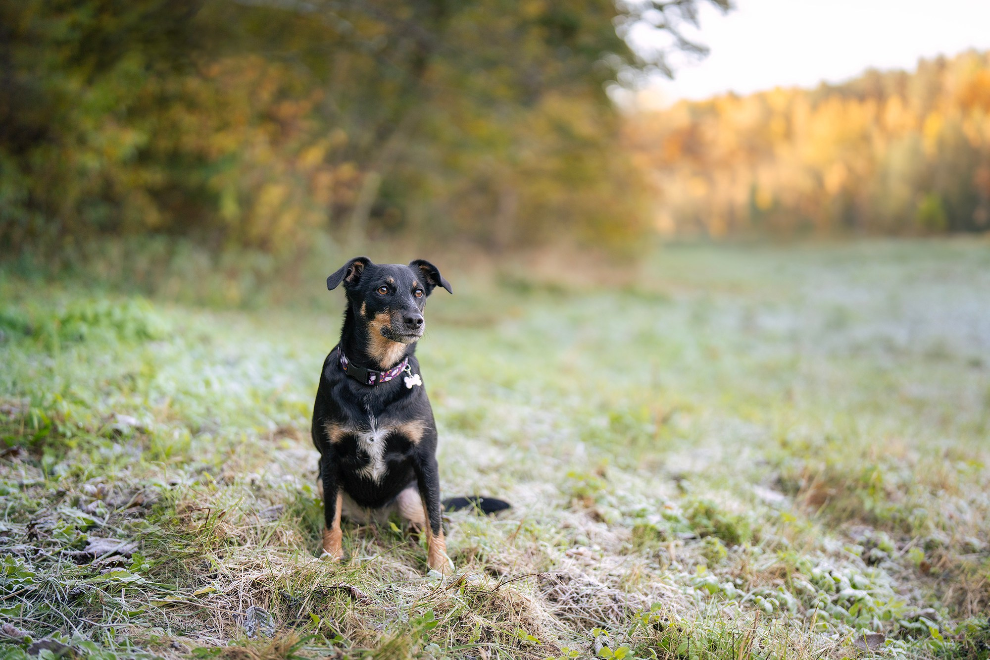 Mėtos ir Gustės fotosesija gamtoje Vilniuje. Vita Klimaševska ○ Fluffy Soulmate Photography