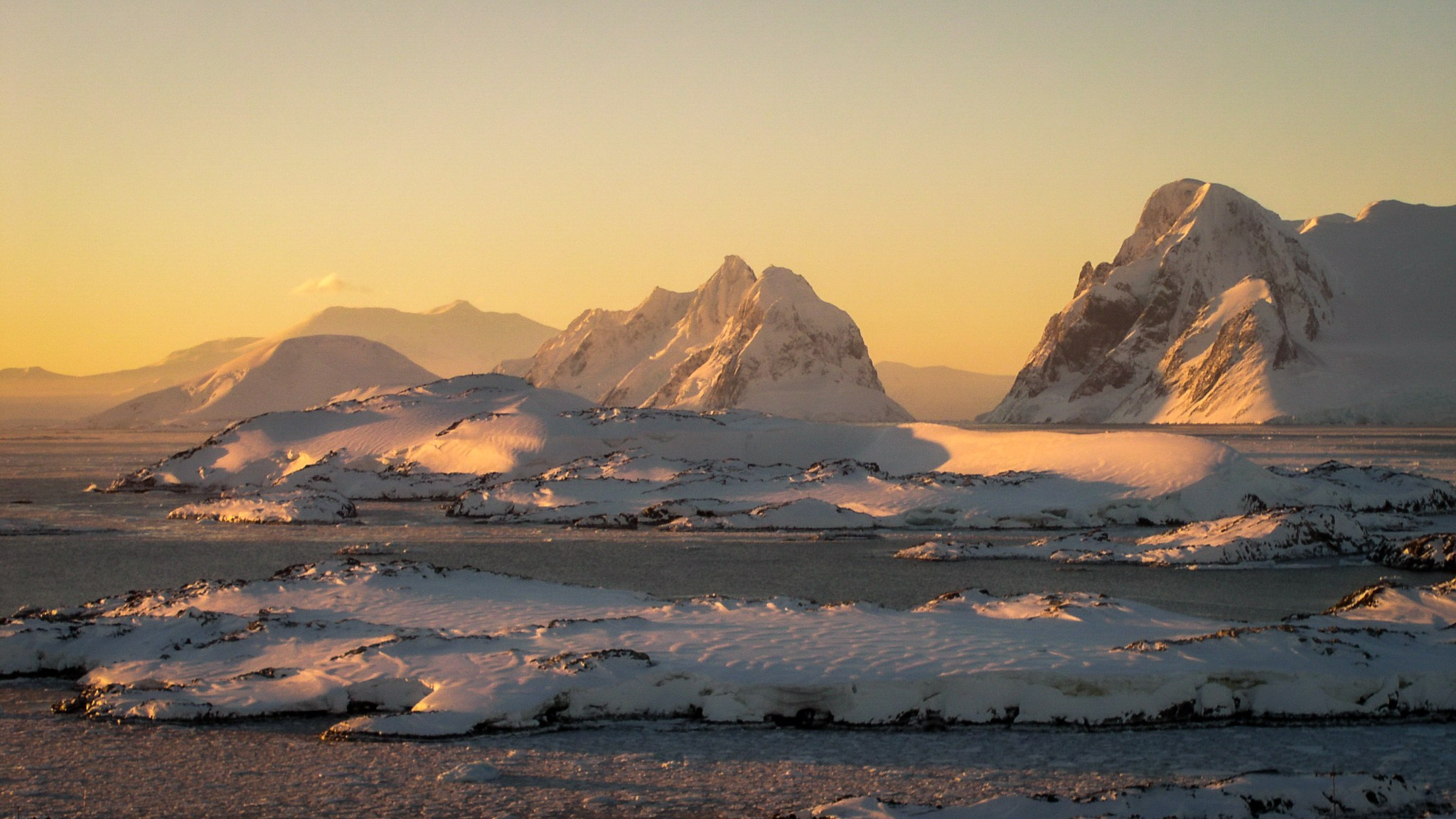 ANTARCTICA / 2004. Reportage concert portrait photography in the San Francisco Bay Area