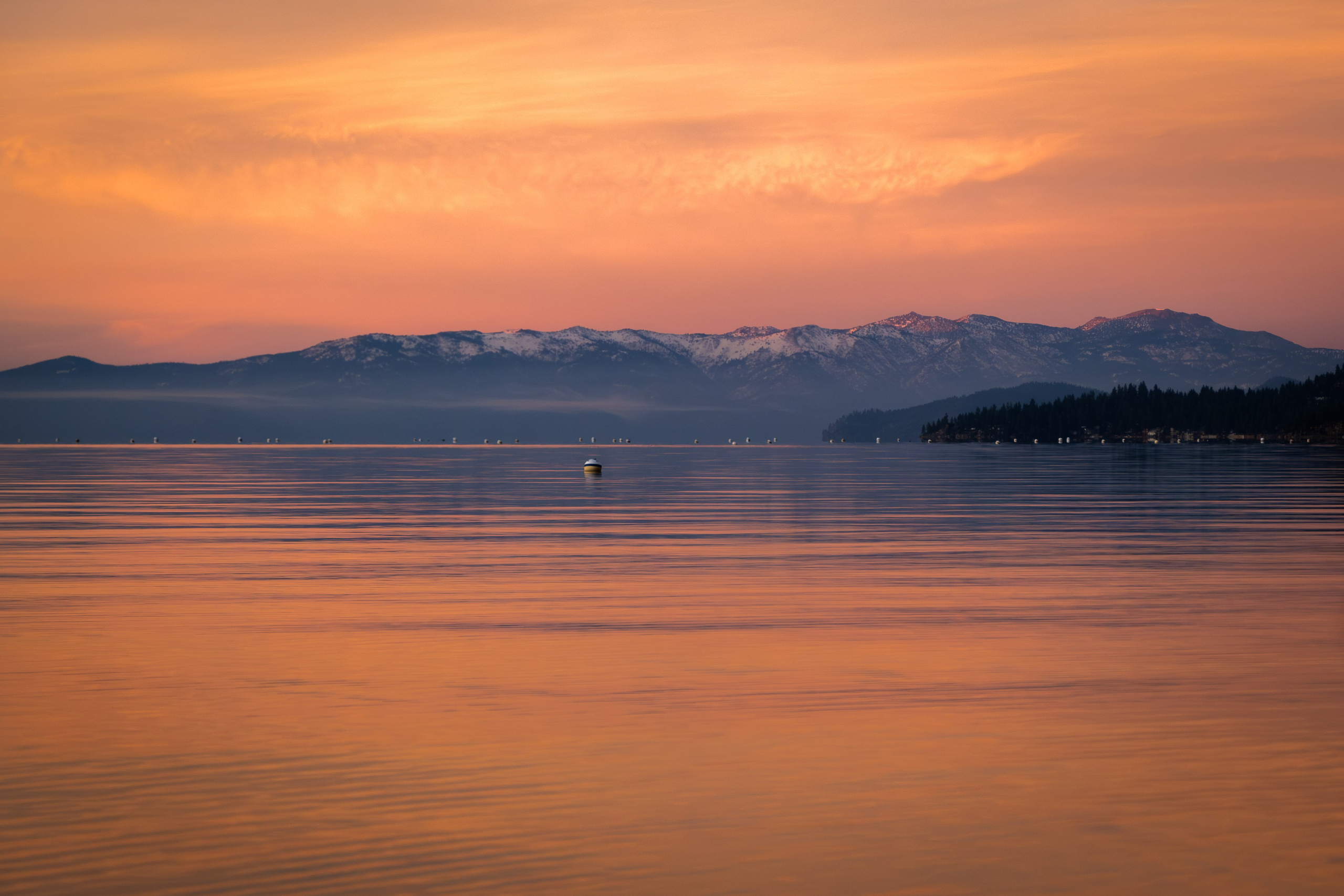 TAHOE. Reportage concert portrait photography in the San Francisco Bay Area