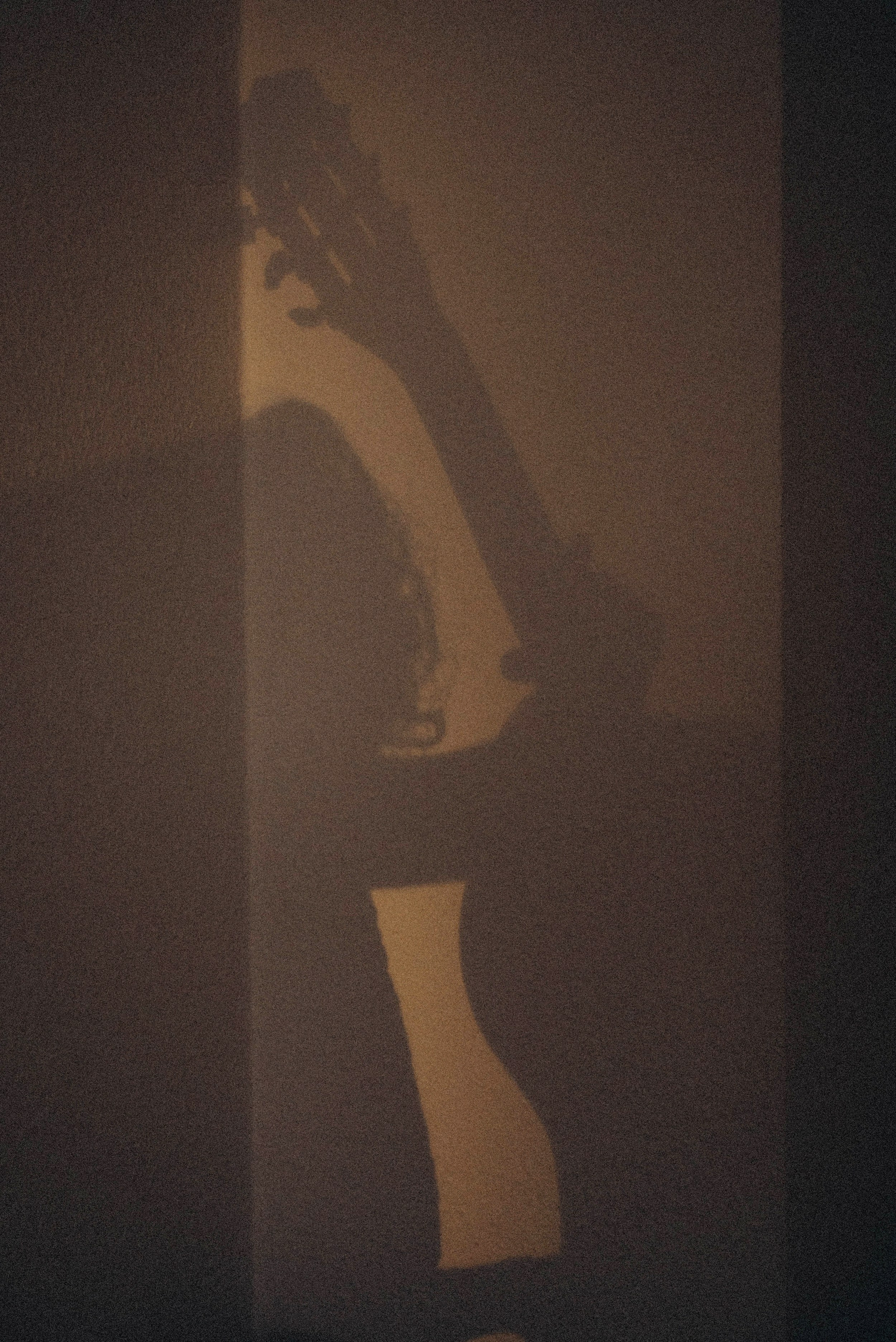 Eva & Kuper. Семейный фотограф Лейпциг, Германия