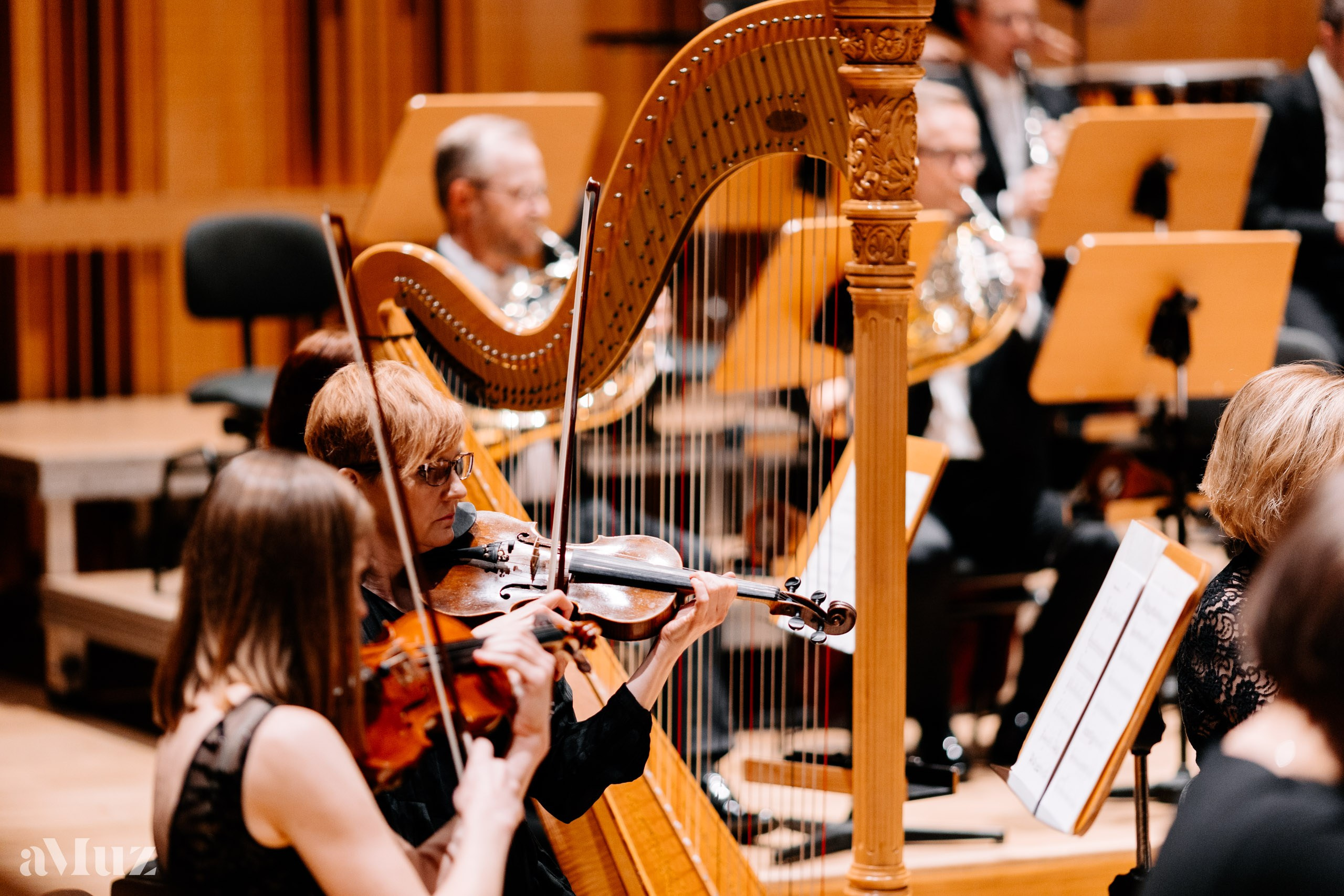 Koncert dyplomantów aMuz w Polskiej Filharmonii Bałtyckiej. Fotograf Ślubny Warszawa - Sesje Biznesowe Rodzinne Eventy