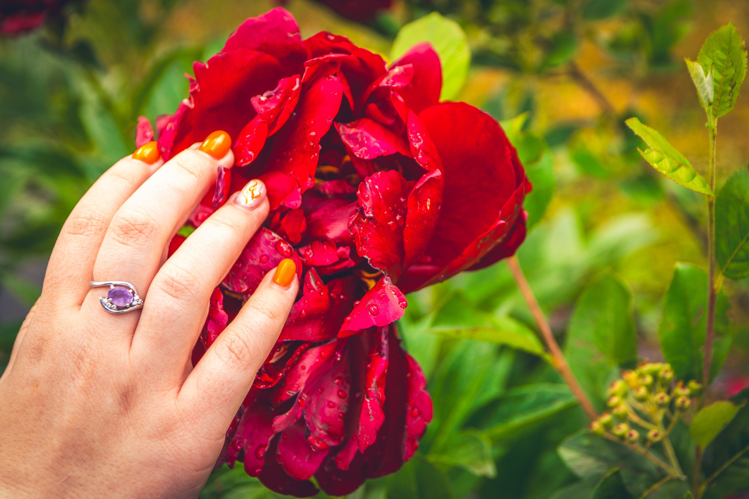 Saarema, reis. Nebula 25 — Fotod teie hingele