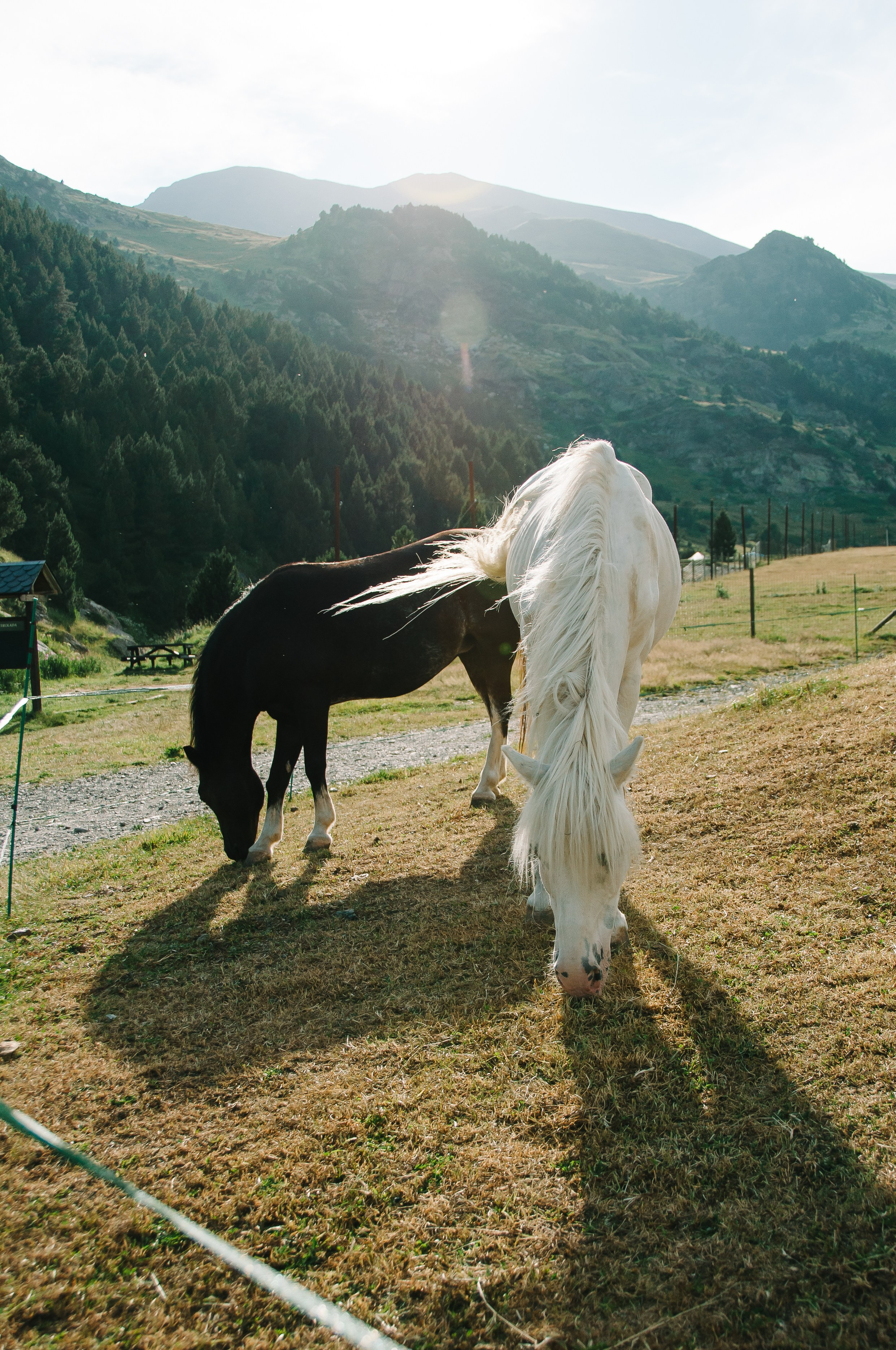 Galeria. Creador de contenido visual en Barcelona | Dima Kit