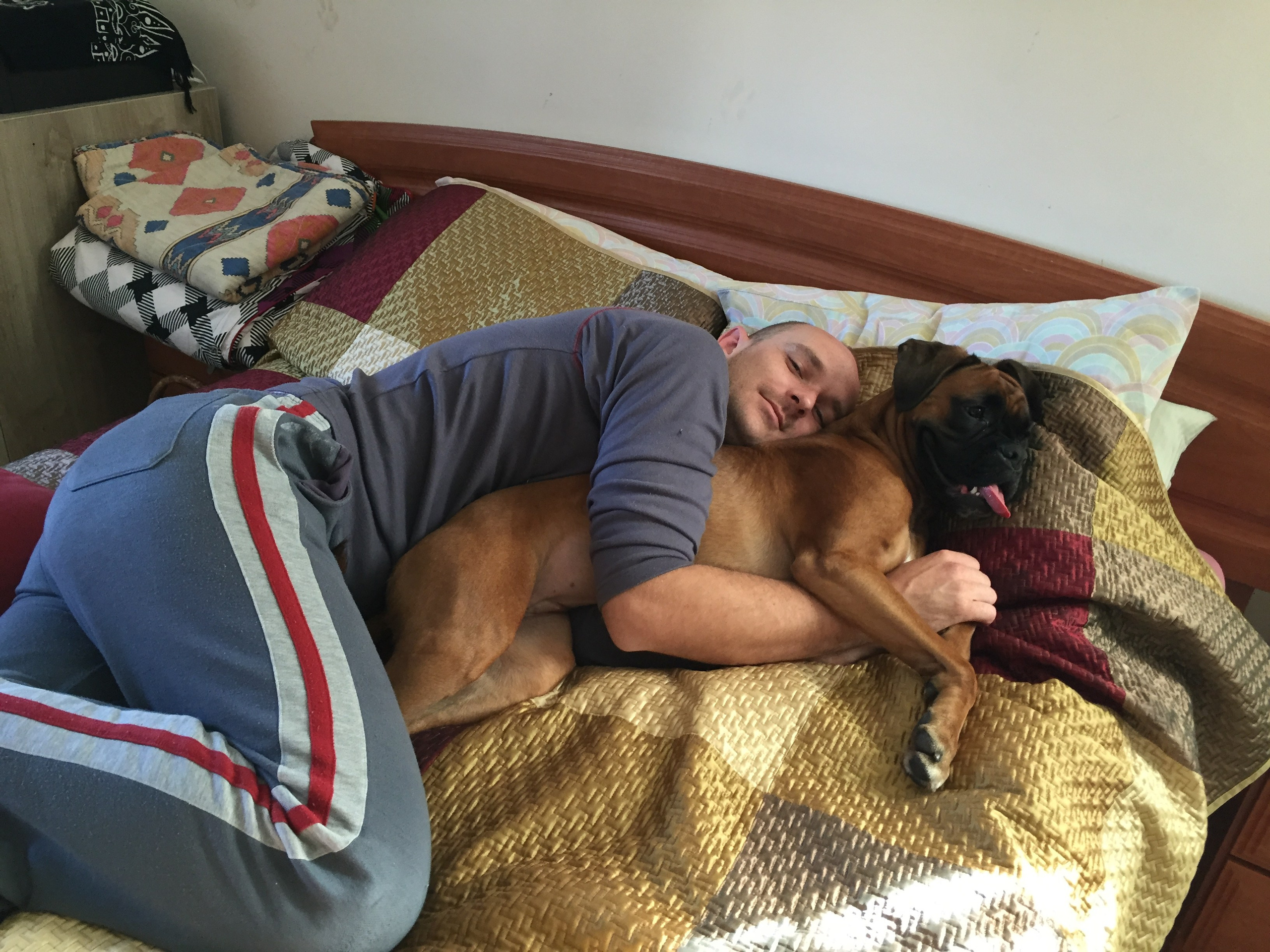 My ״Star״ Boxer Dog