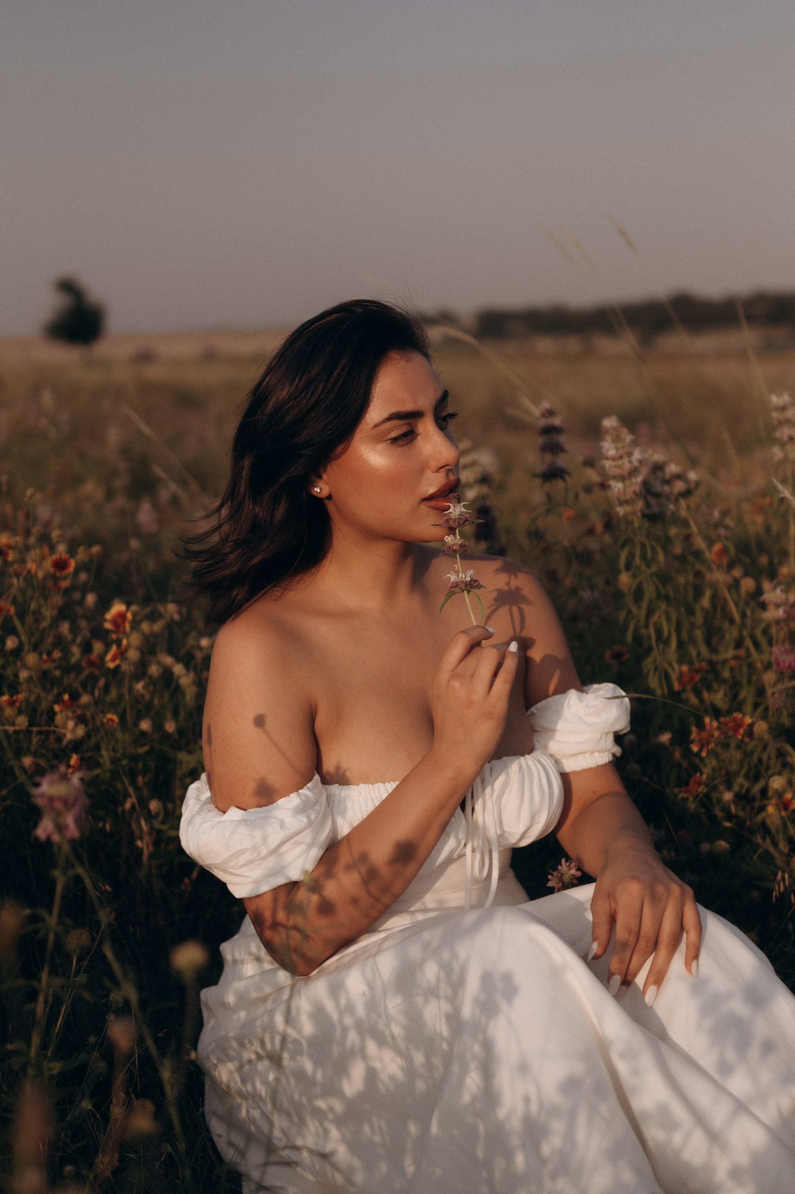 Fields of Flowers. Lens Captures Life