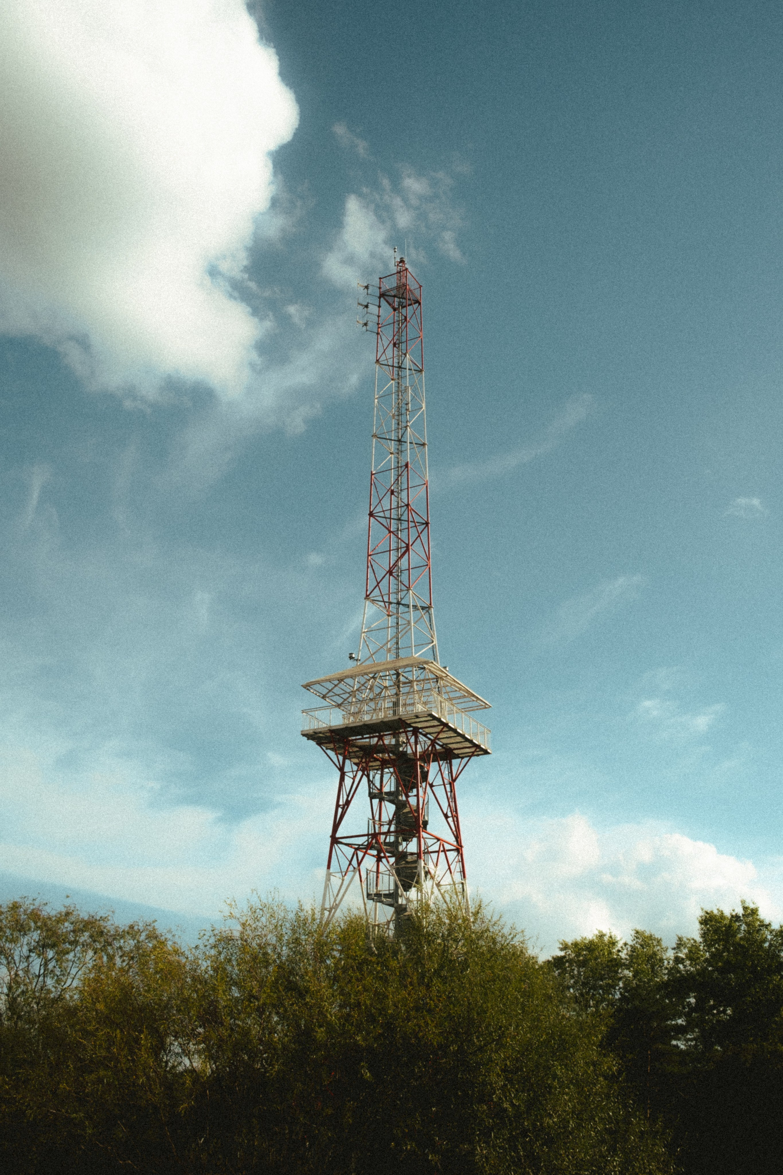 Roaming. Mike Avelli