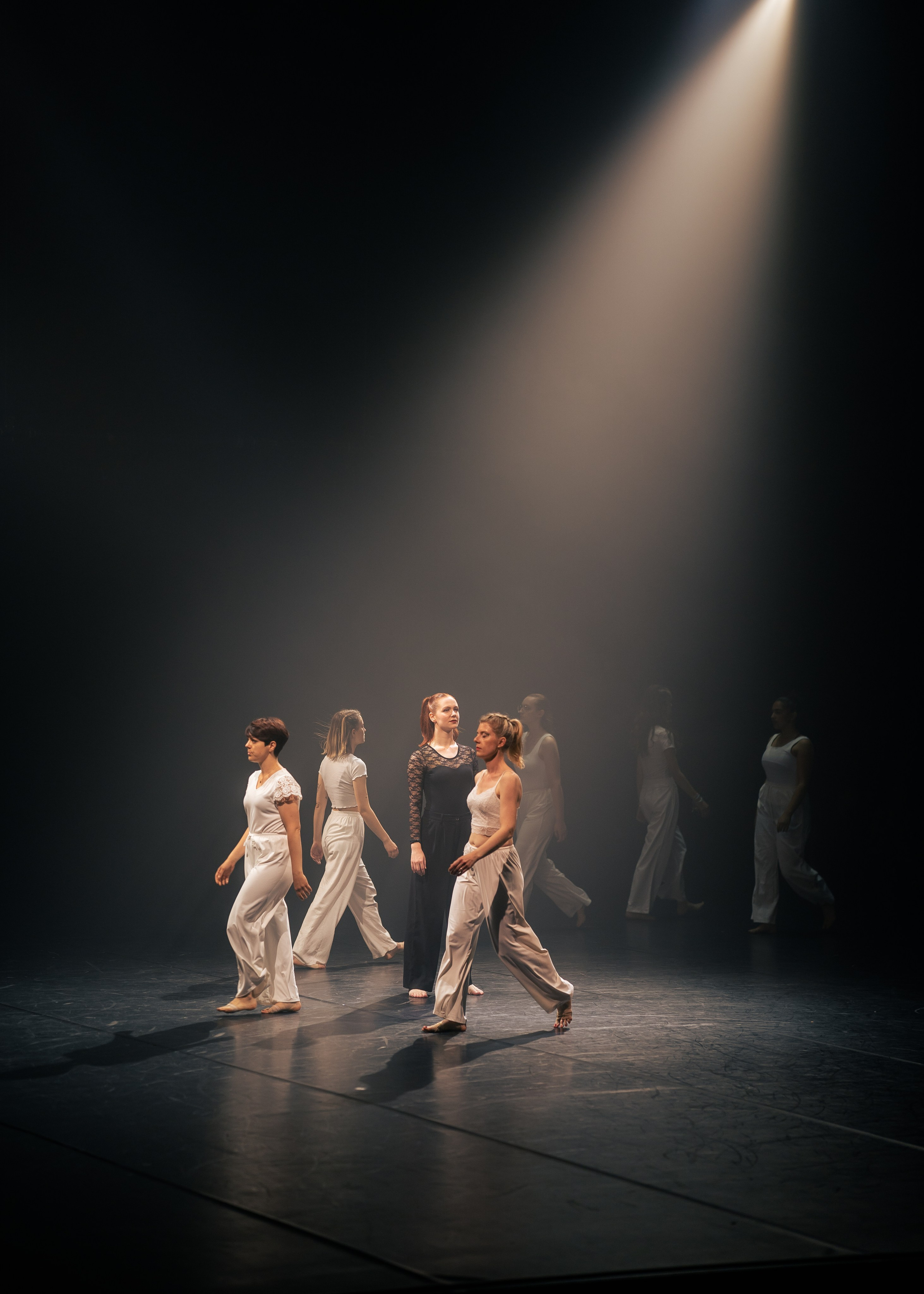 Evénements. Photographe Portraitiste et Spécialiste en Photographie de Famille et Mariages — Région de Lille, Valenciennes