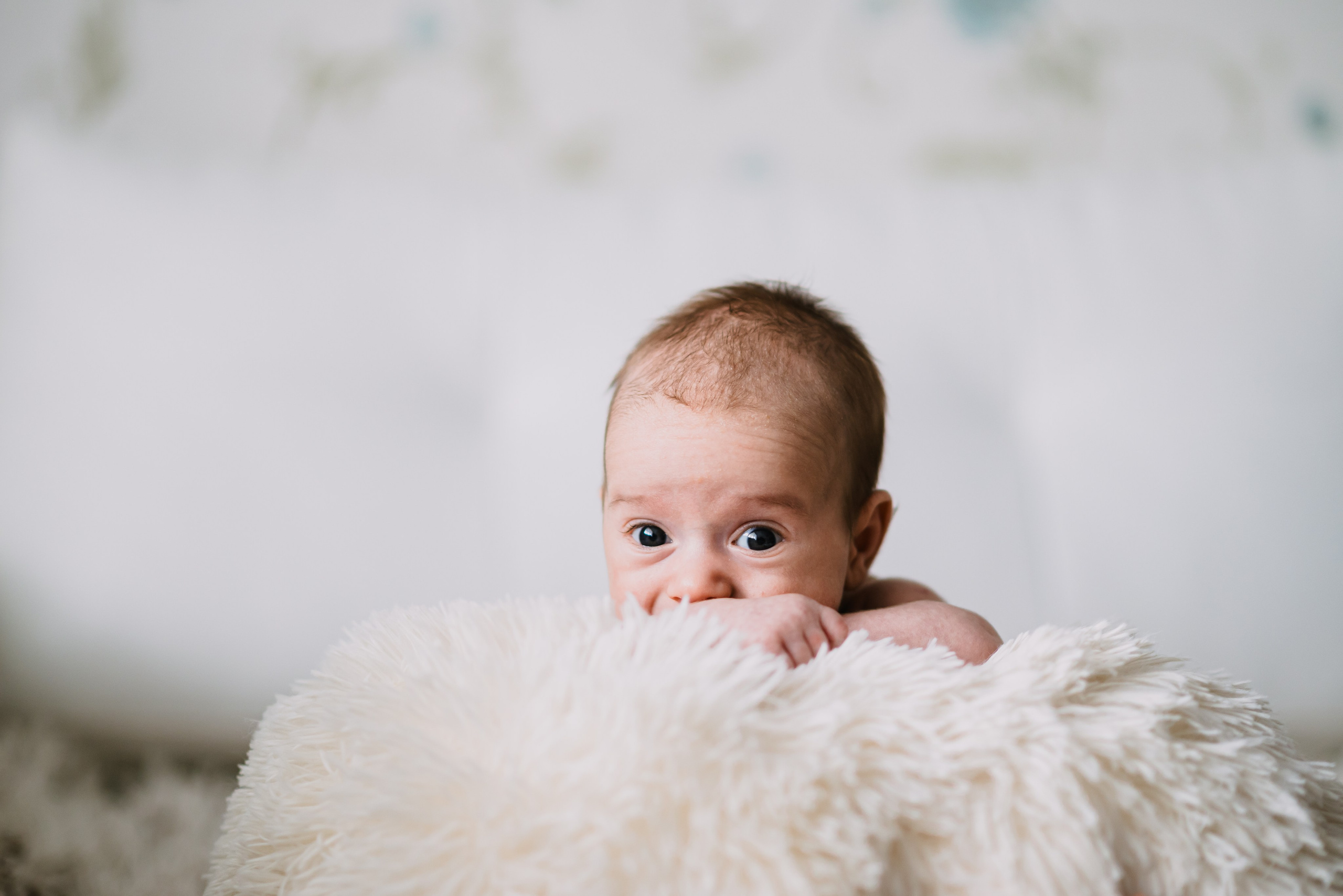 Teodor Mihai. Giani Maftei