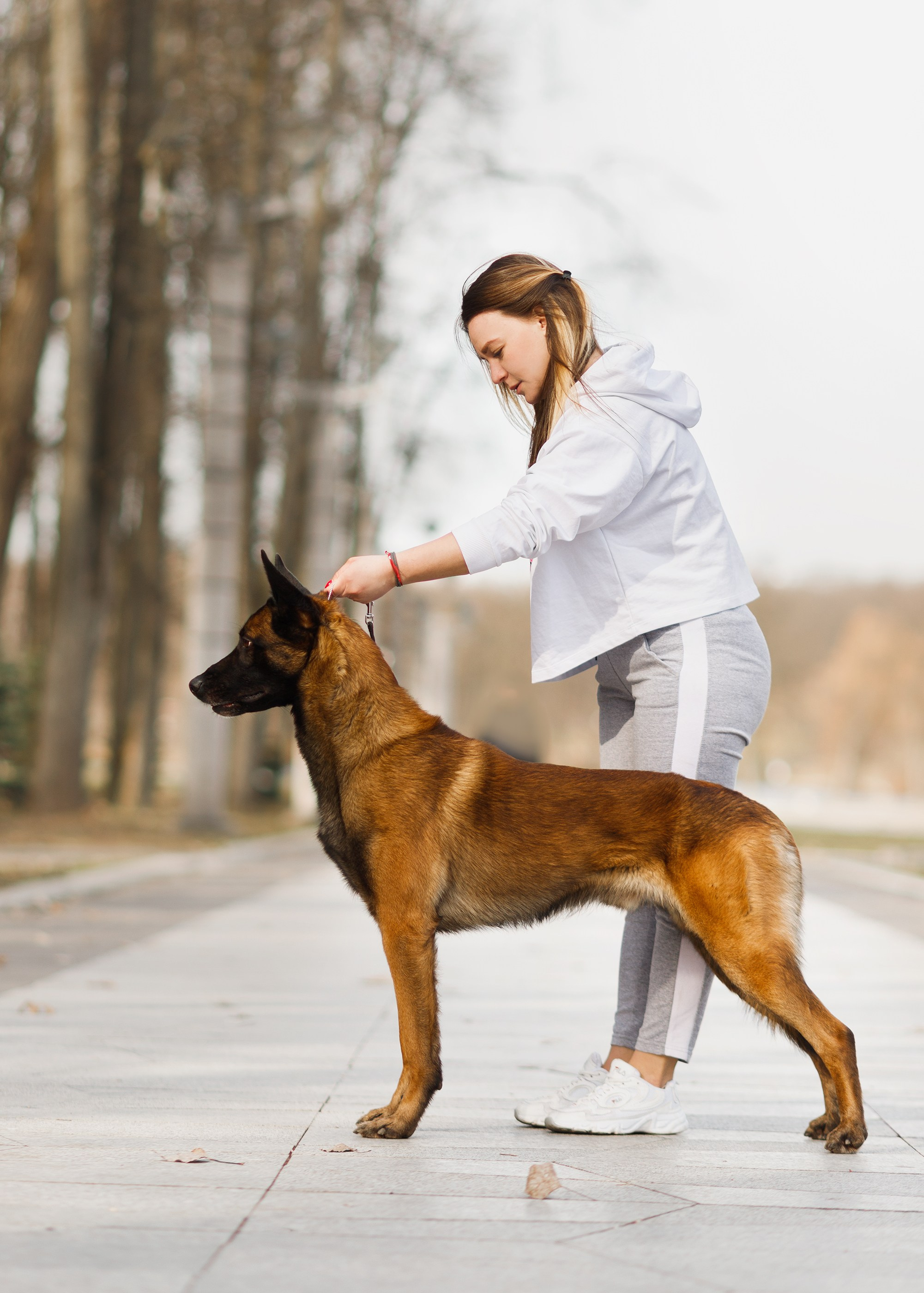 Autumn photo day for dog handler. Kaja | fotograf we Wrocławiu | ludzie i psy