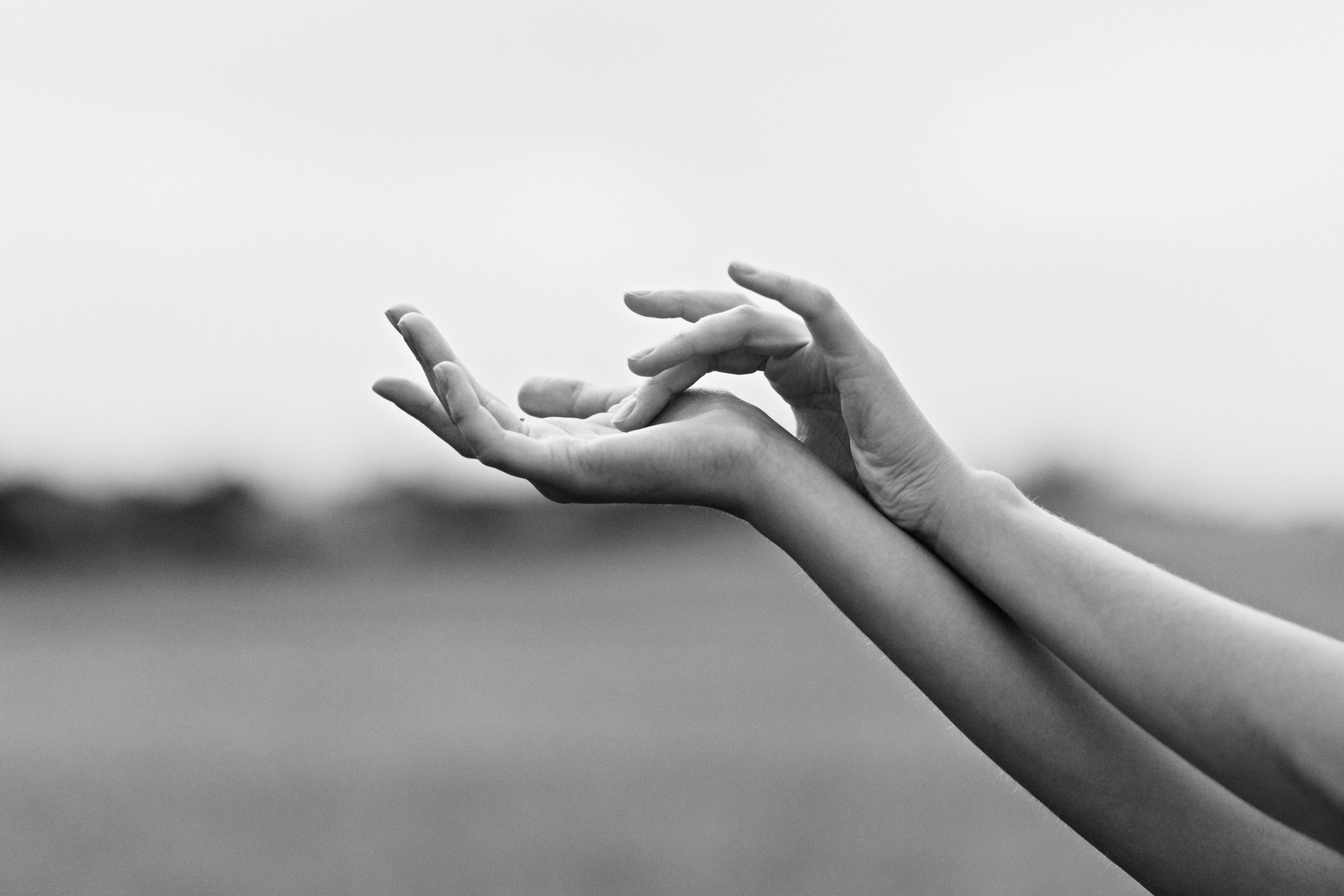 Katya | tenderness in the field. Kaja | fotograf psów we Wrocławiu
