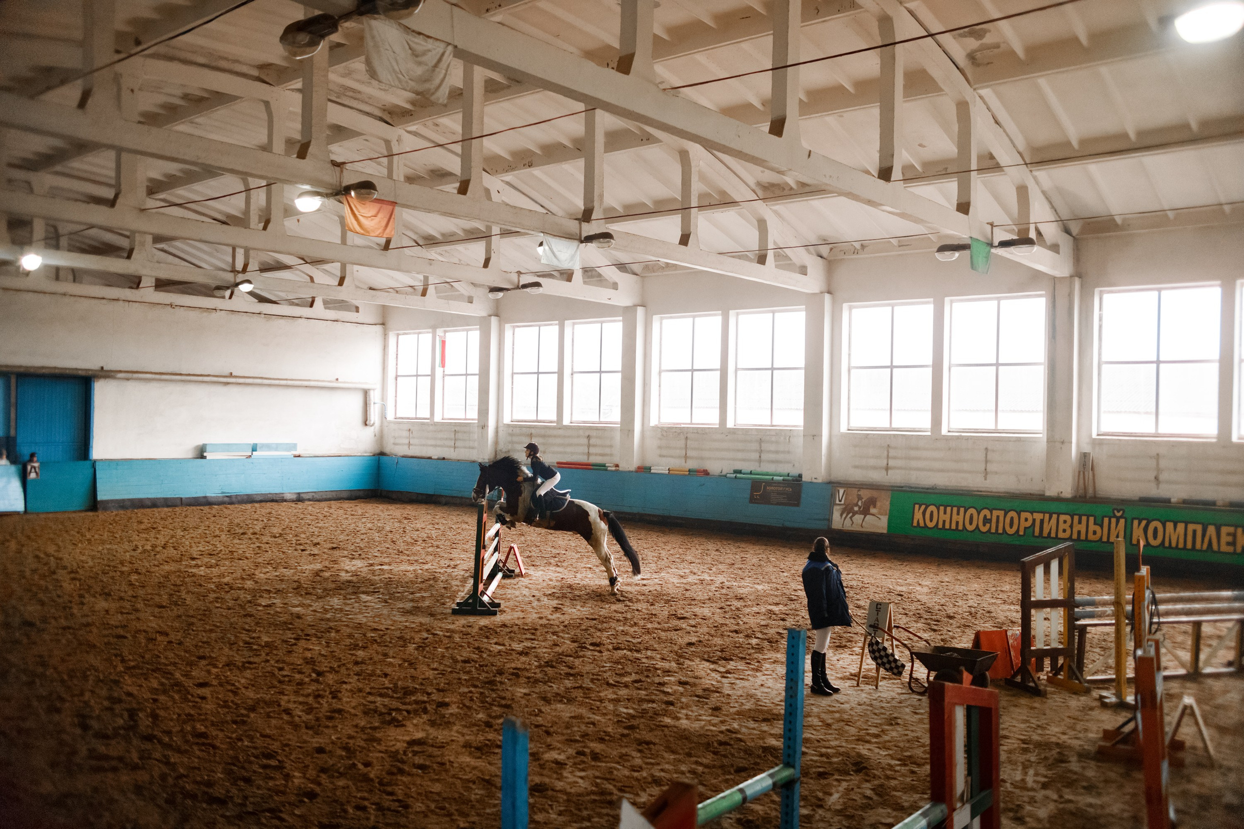 Winter show jumping in «Progress». Kaja | fotograf we Wrocławiu | ludzie i psy