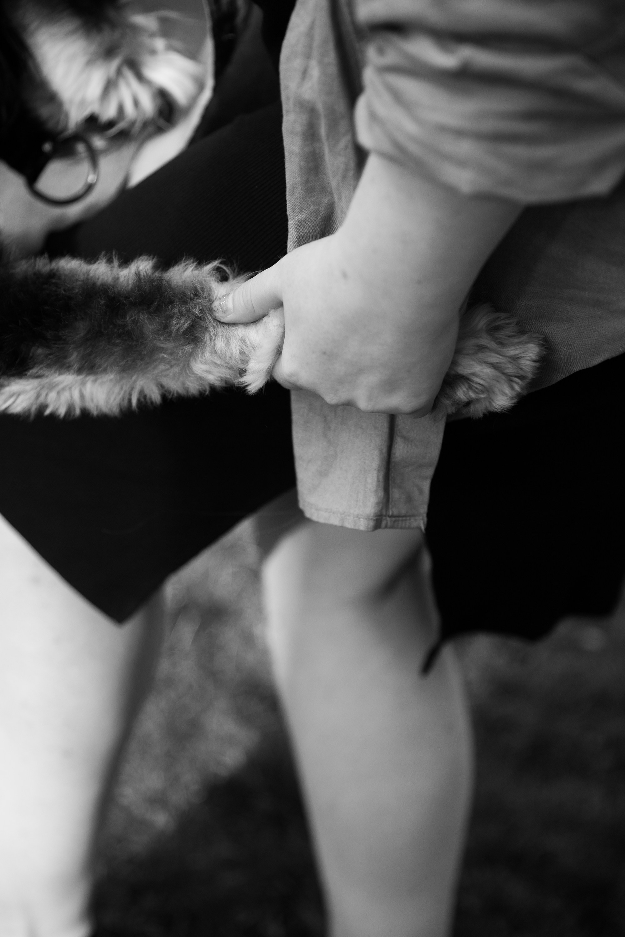 Lera & Flora. Kaja | fotograf we Wrocławiu | ludzie i psy