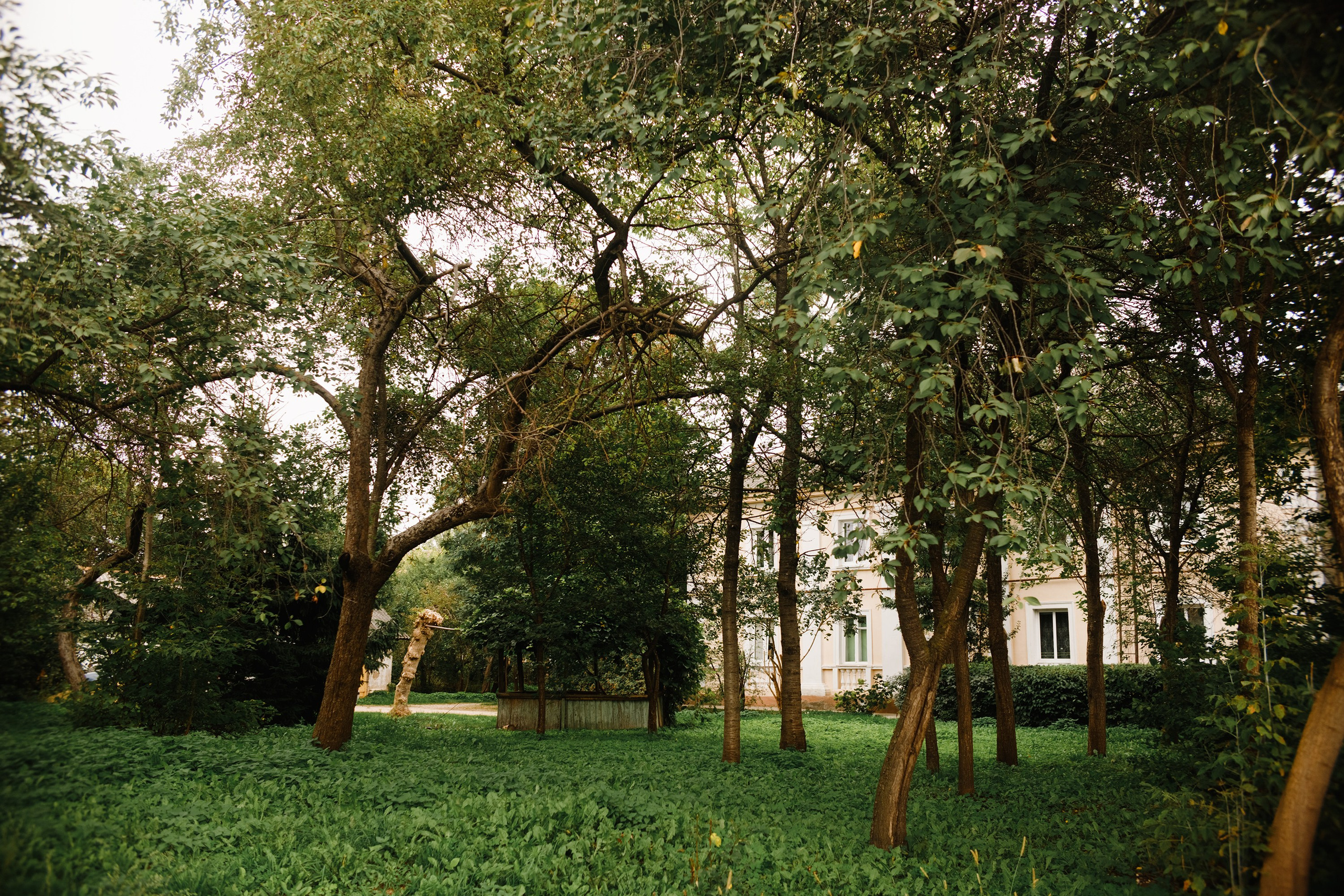 Grodno. Kaja | fotograf we Wrocławiu | ludzie i psy