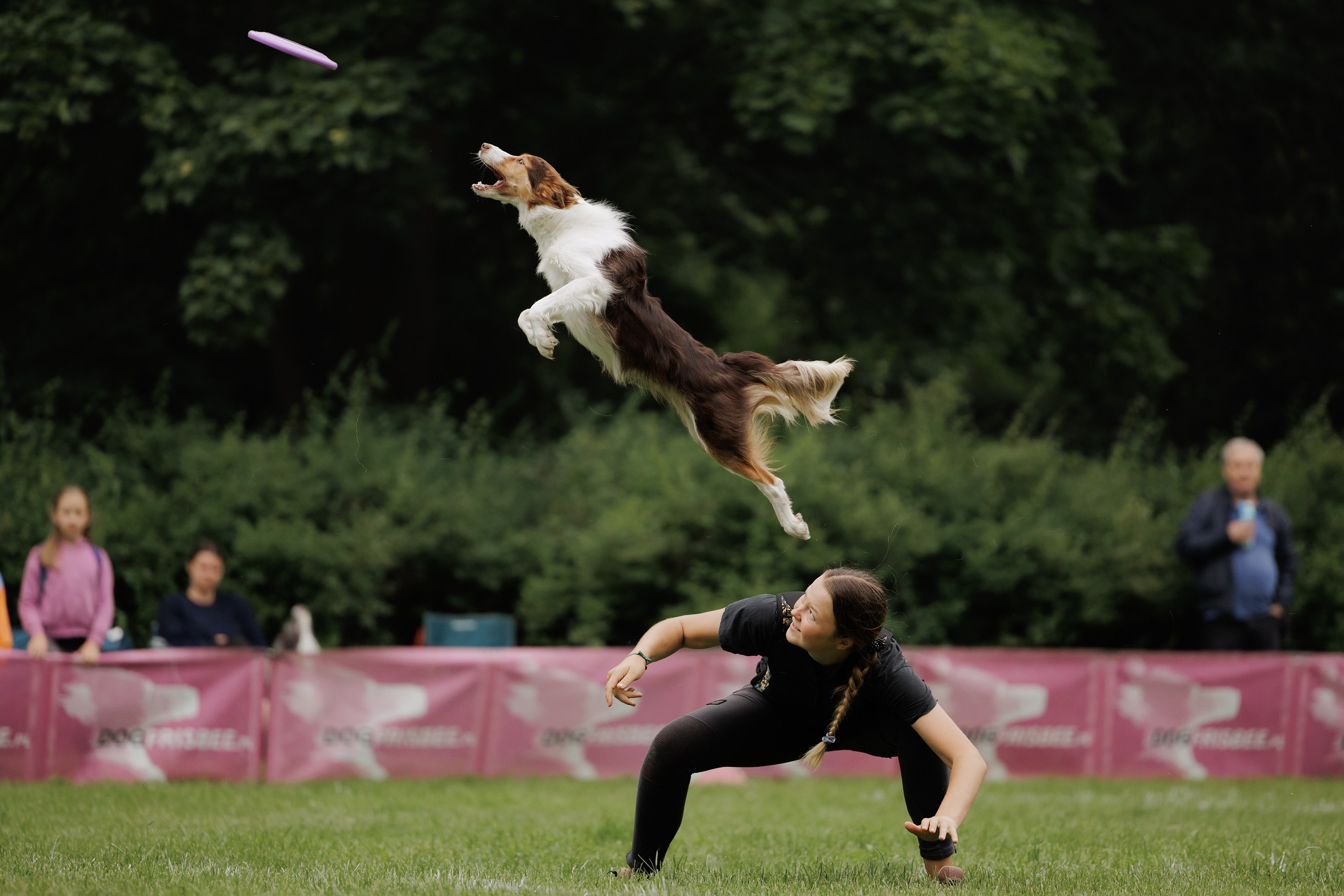 Latające psy, Wrocław'25. Kaja | fotograf psów we Wrocławiu