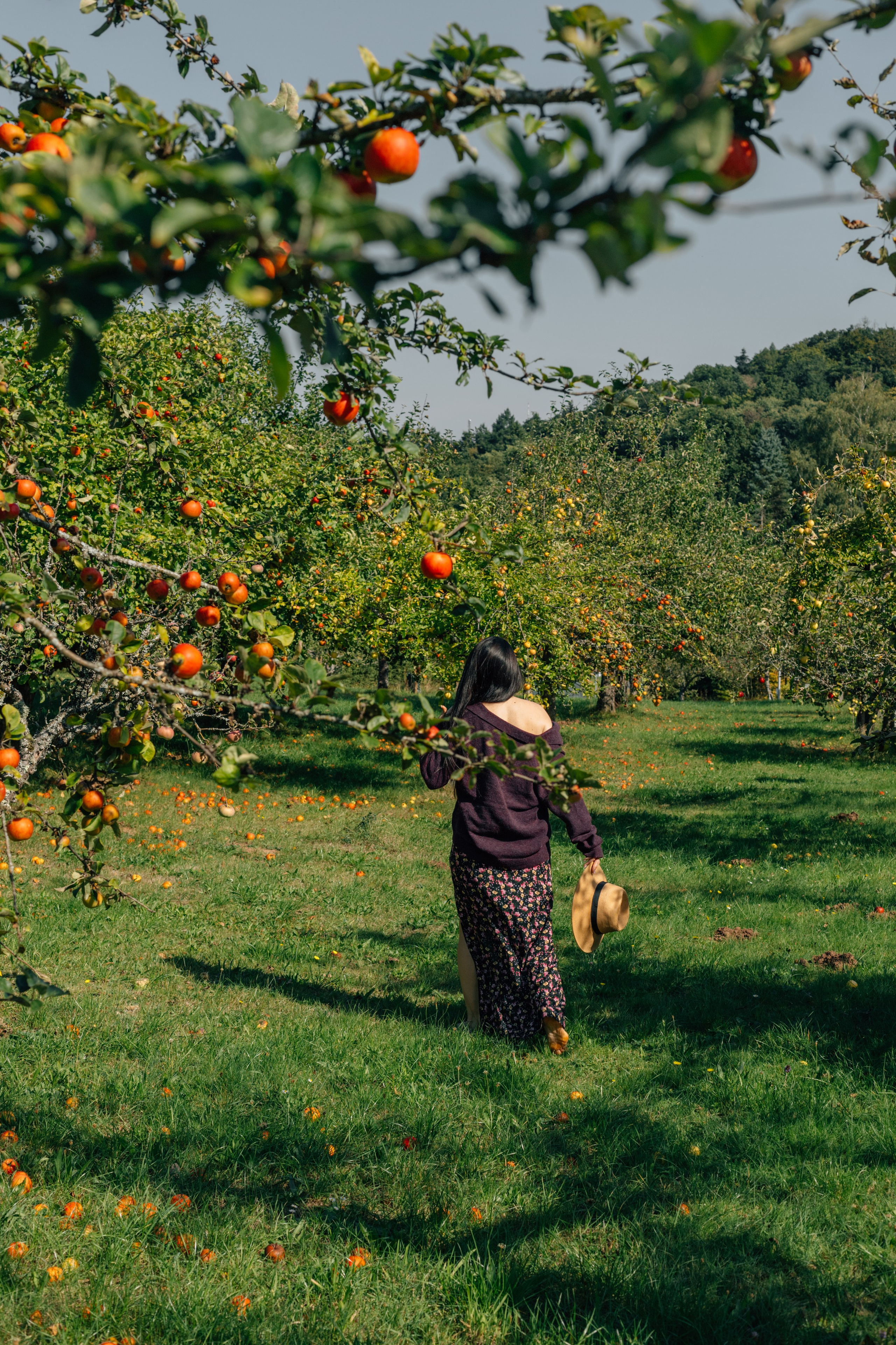 In Garten. PHOTOgrapher Germany MARBURG