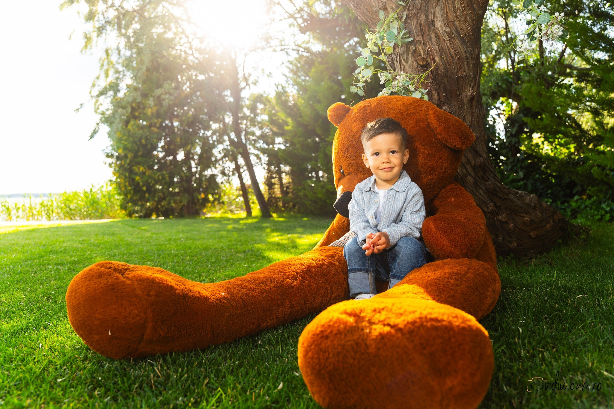 Botez și Familie. Fotograf de Nunta
