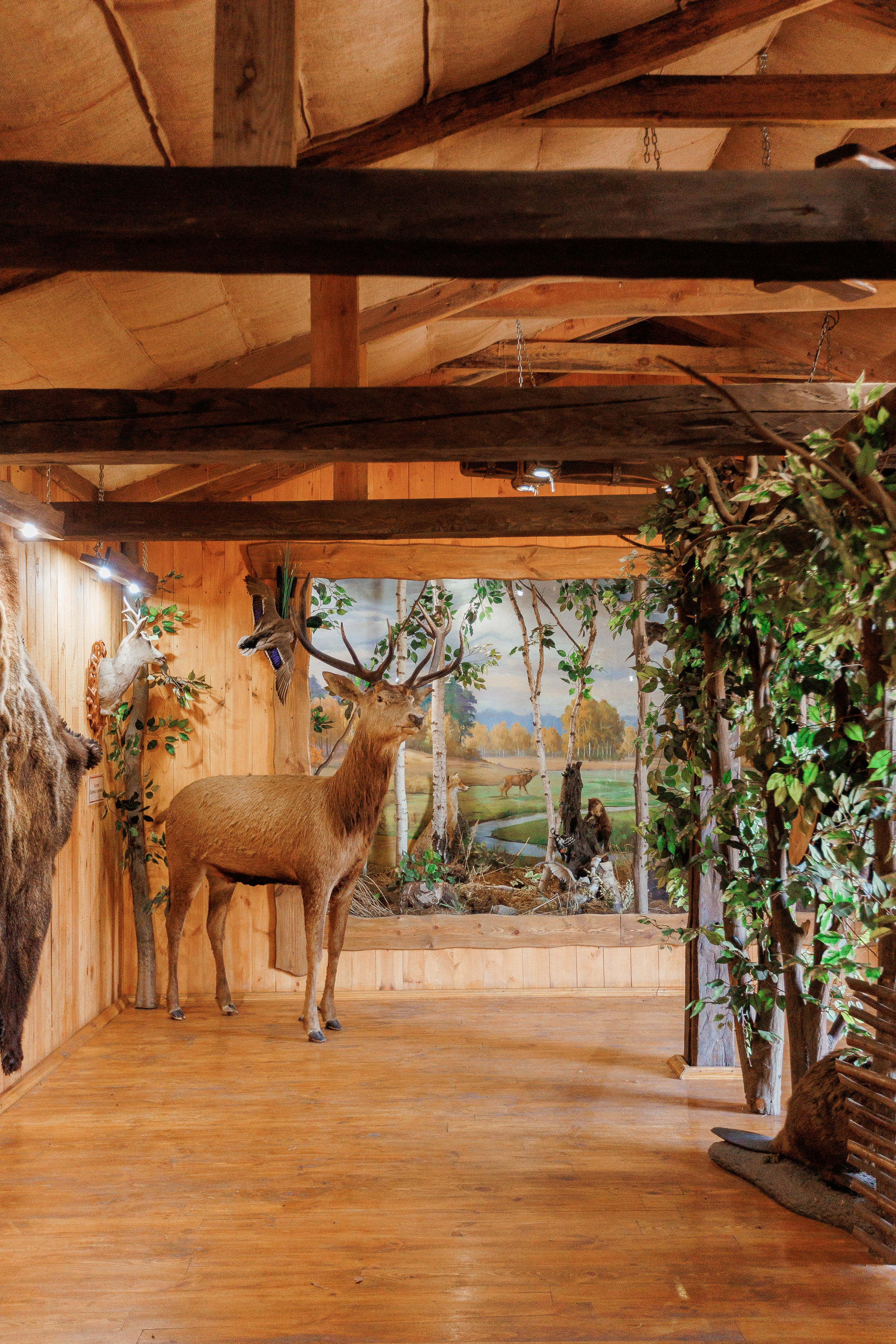 Екопарк Аміла. Ірина Терещук