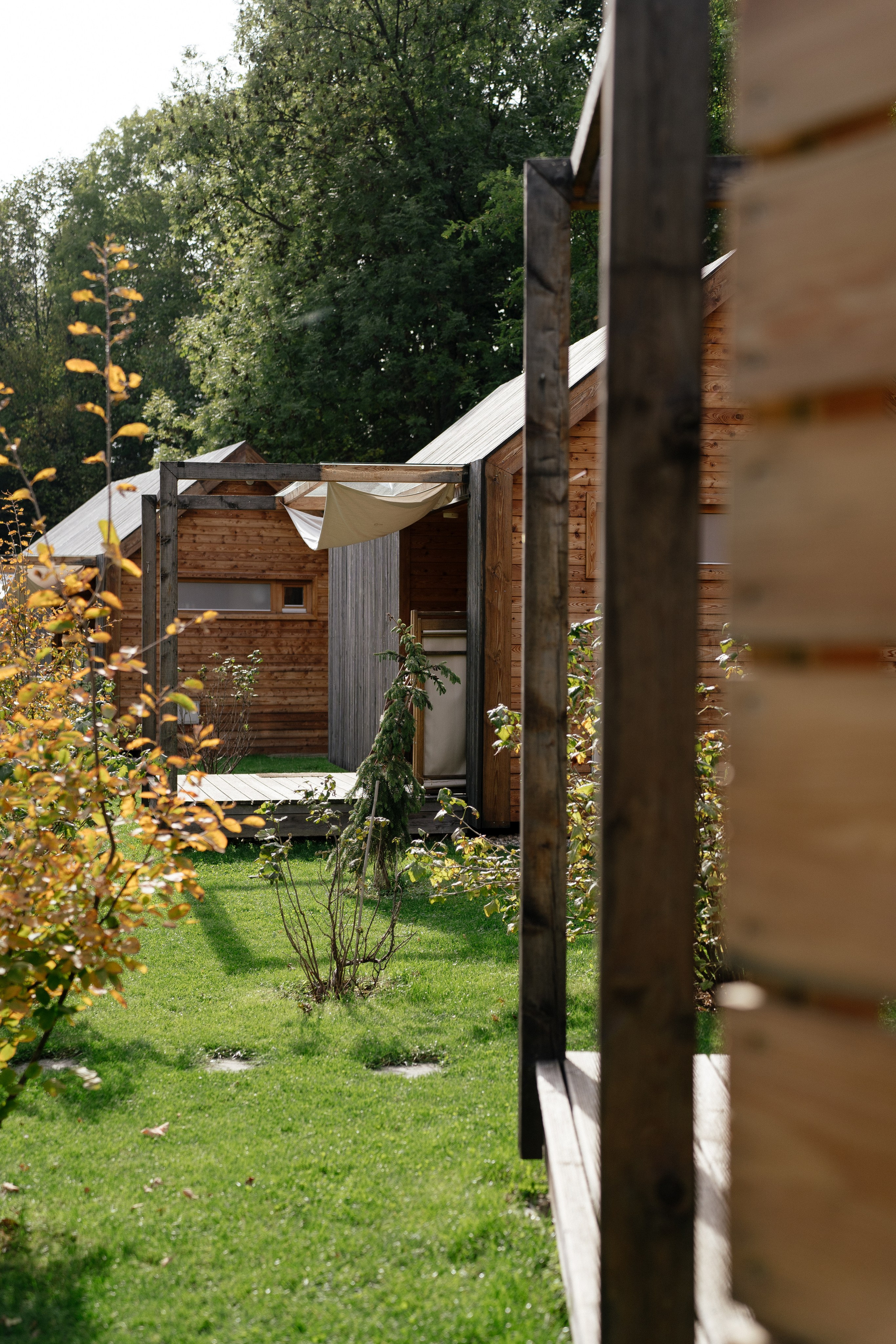 Airbnb. Patricia Morenci — Mountain Adventures for the Wild at Heart