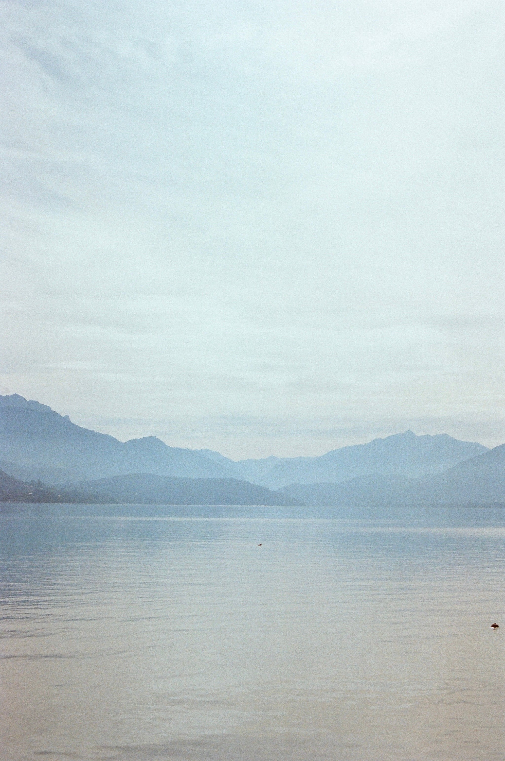 Argentique 🎞️ 📷. Anastasia Shapoval violoniste et photographe. Paris — Bourges
