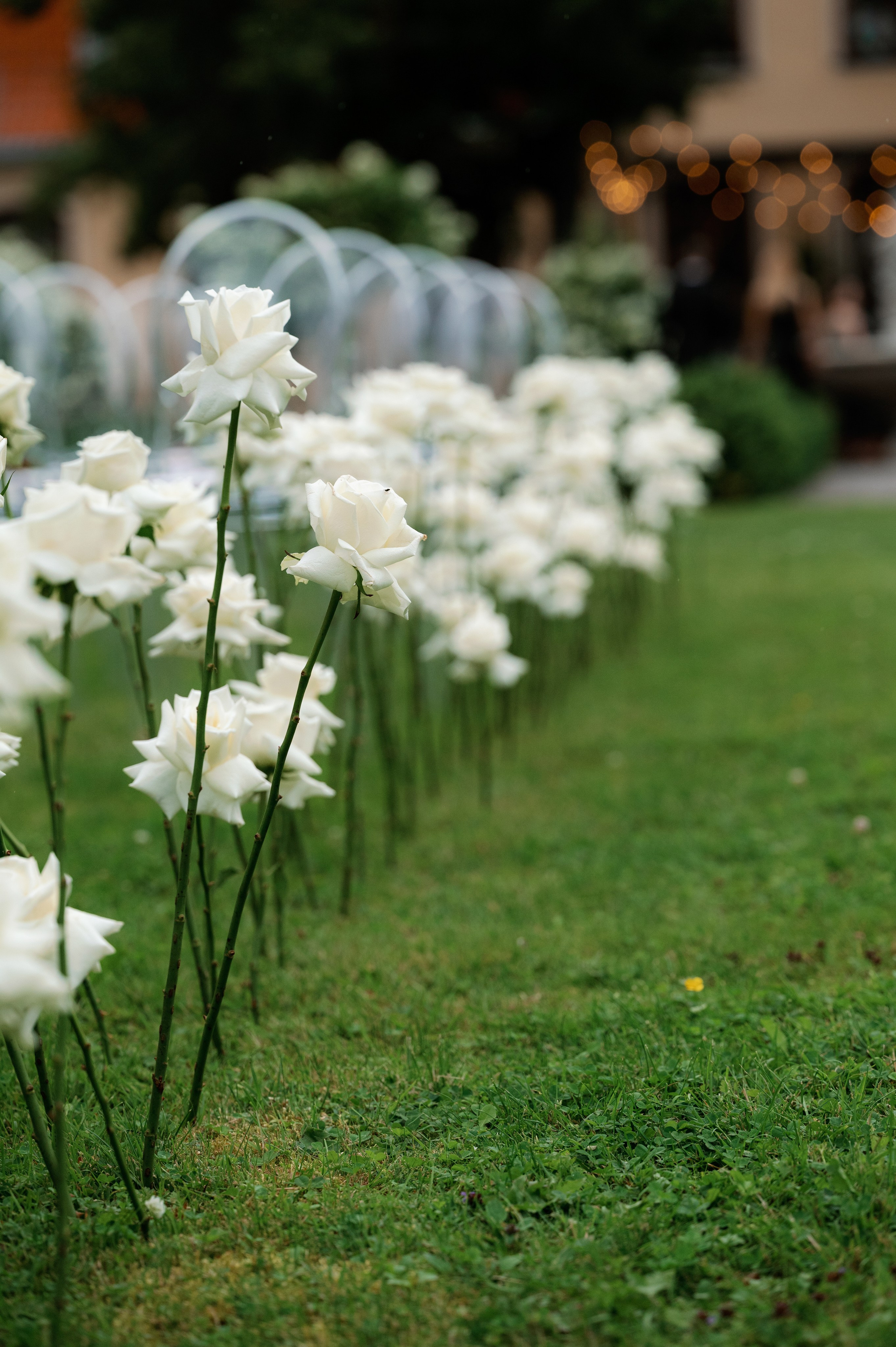 Veronika & Rostislav. Bakasphoto wedding and lifestyle photography Latvia and Worldwide