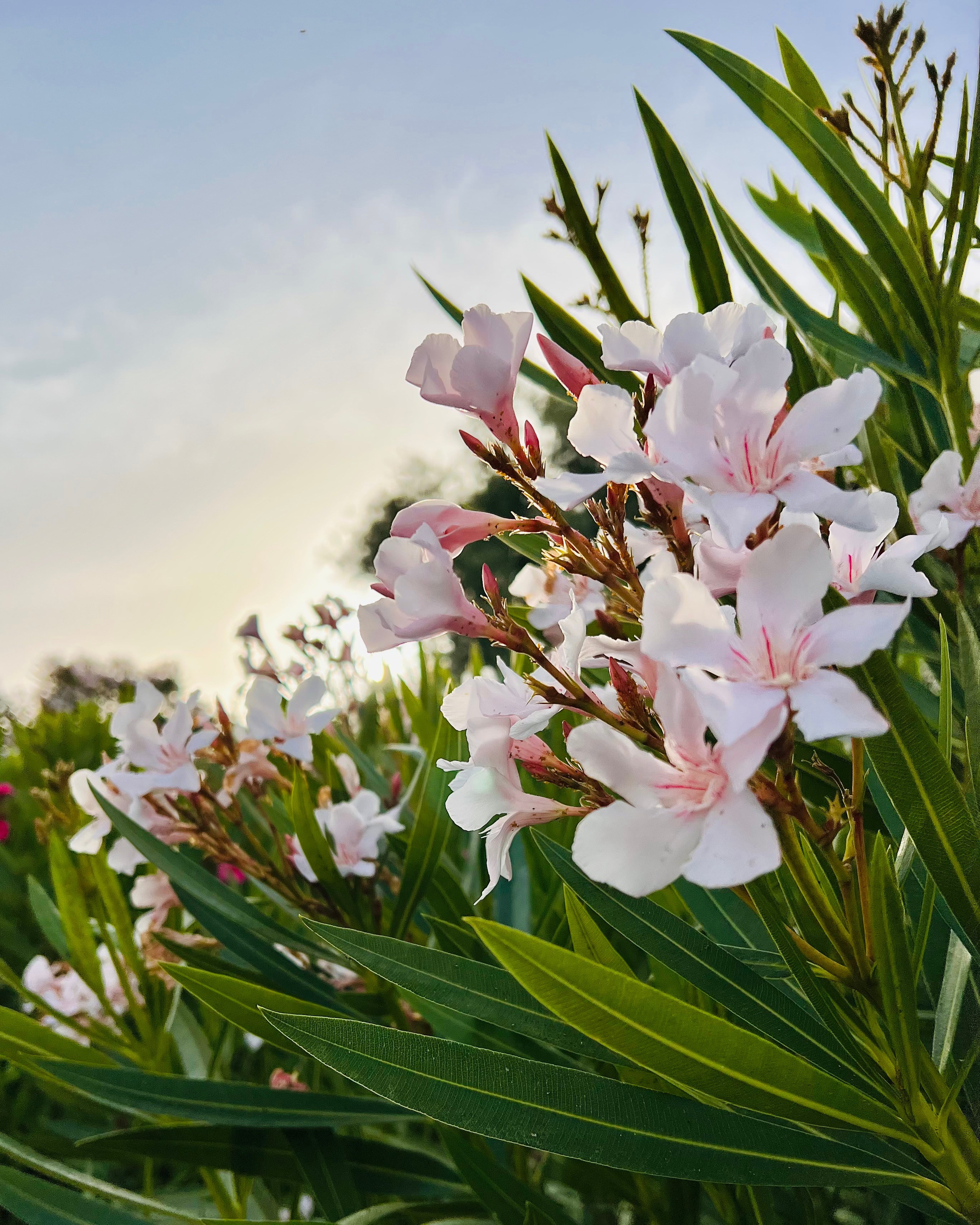 Fotografo d’interni a Cagliari Eugenia Murru