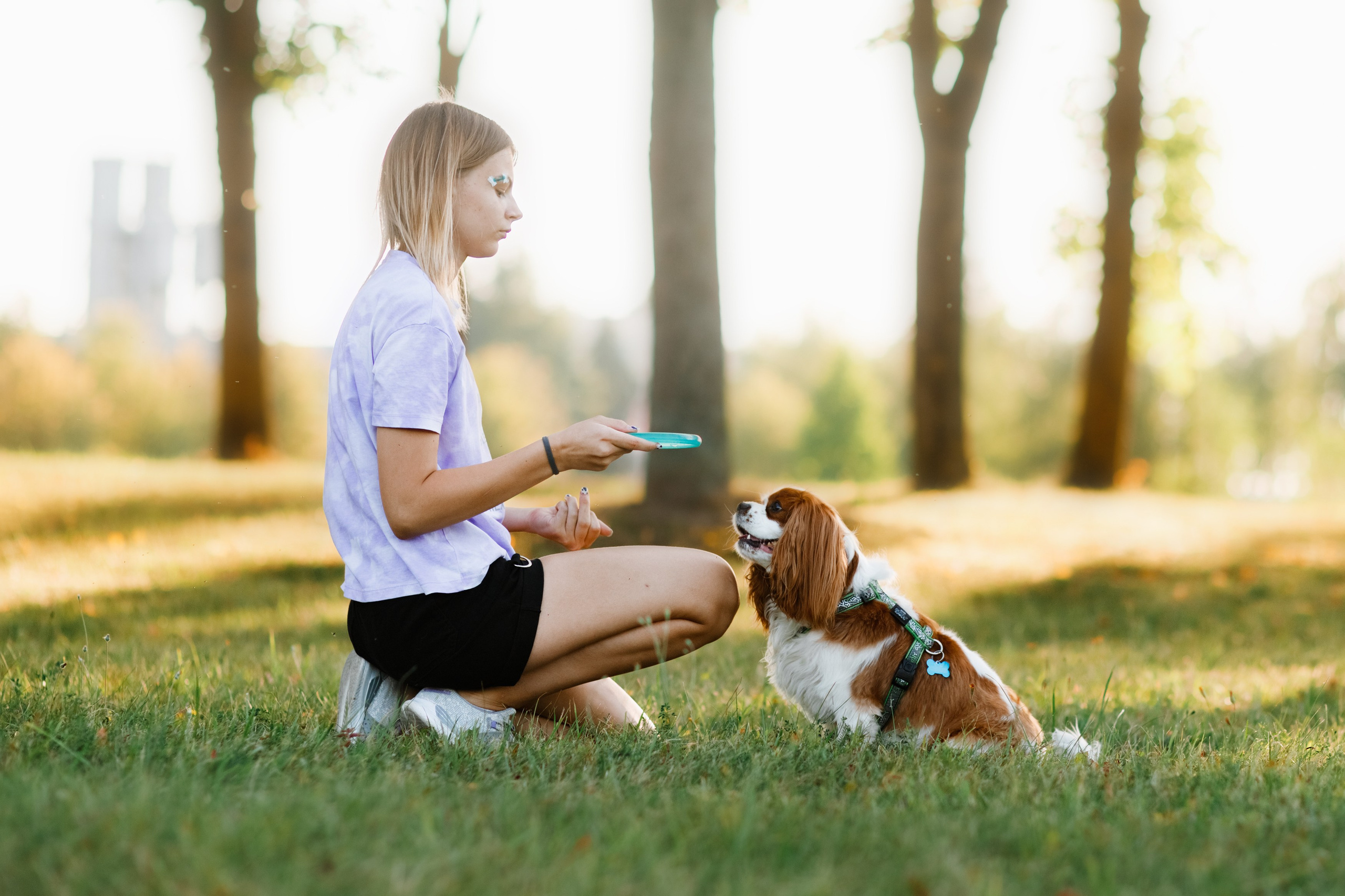 Frisbee workshop of Darya Lukina. Kaja | fotograf we Wrocławiu | ludzie i psy