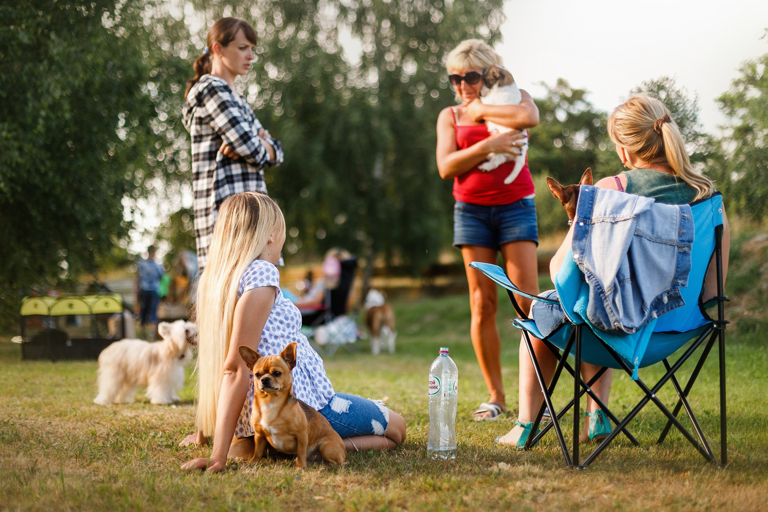 Dog shows | the best ones. Kaja | fotograf psów we Wrocławiu