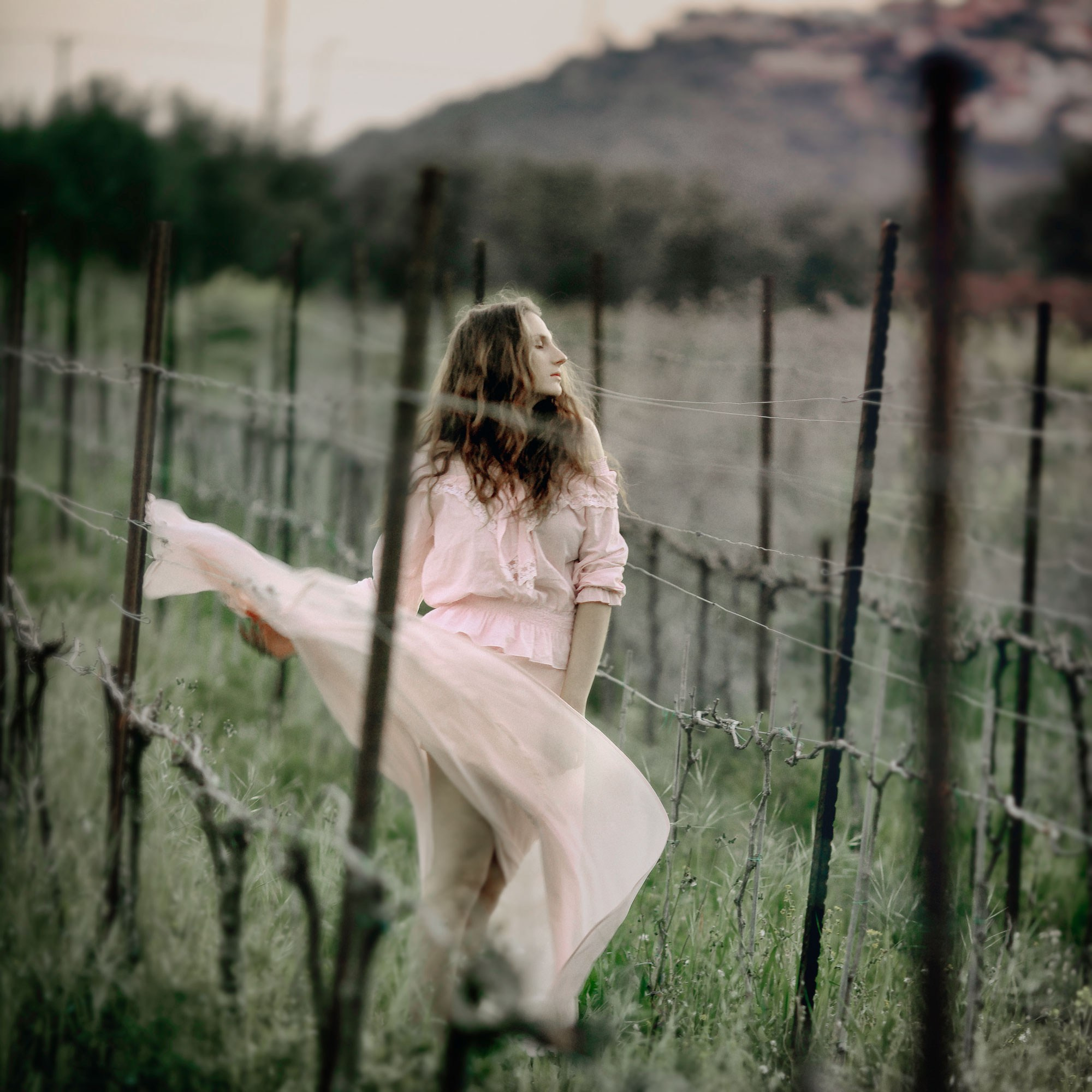 Fine Art Image gallery of Tomer Weiss Fine art