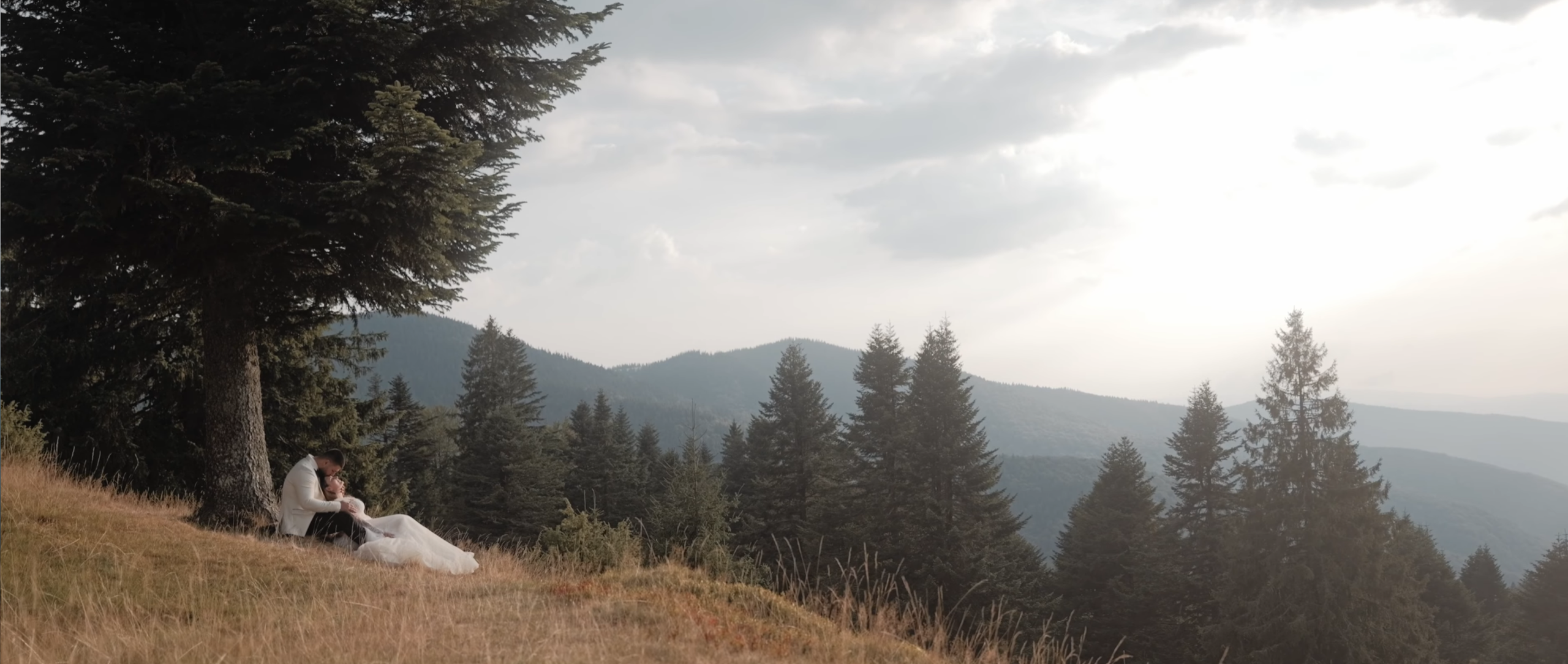 Videograf nuntă Arad - Tîrzuman Casian