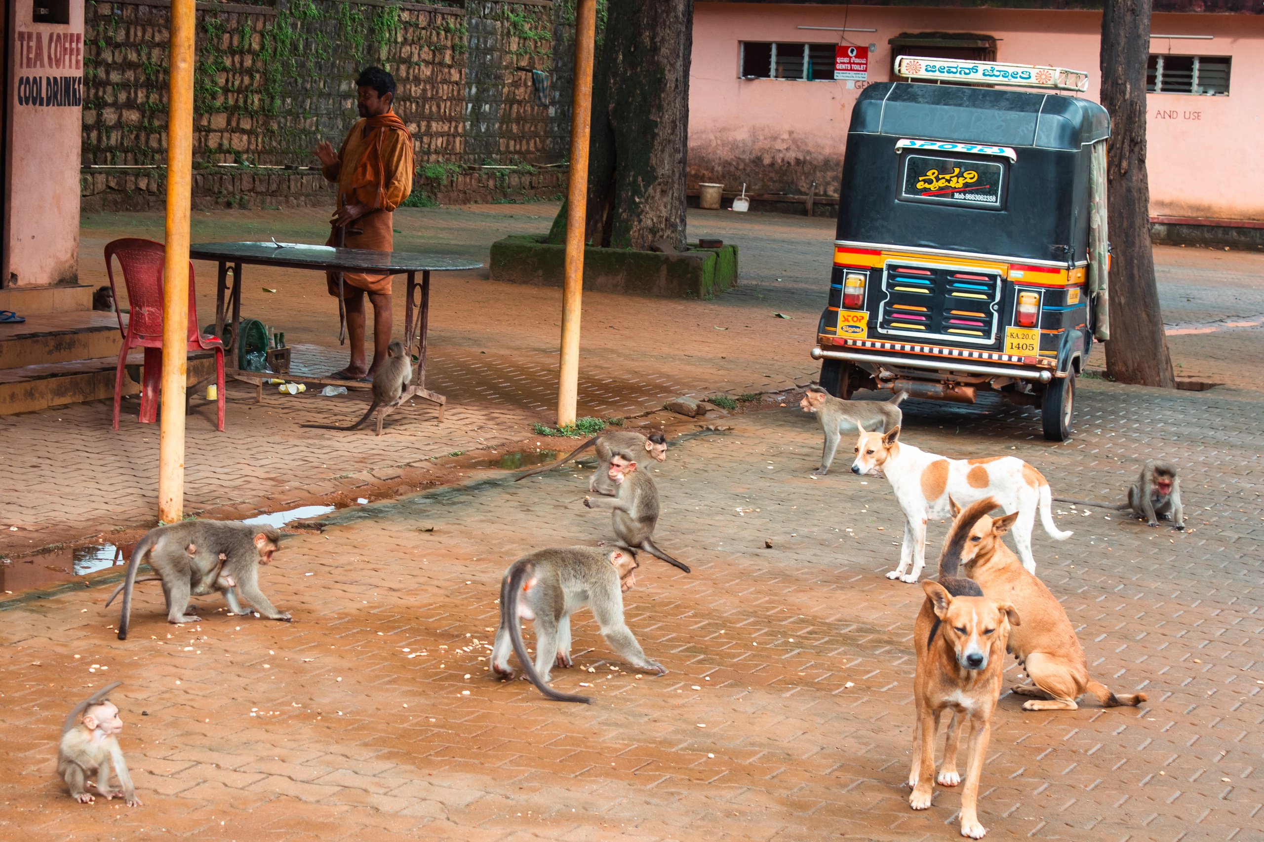 India. Look Around You