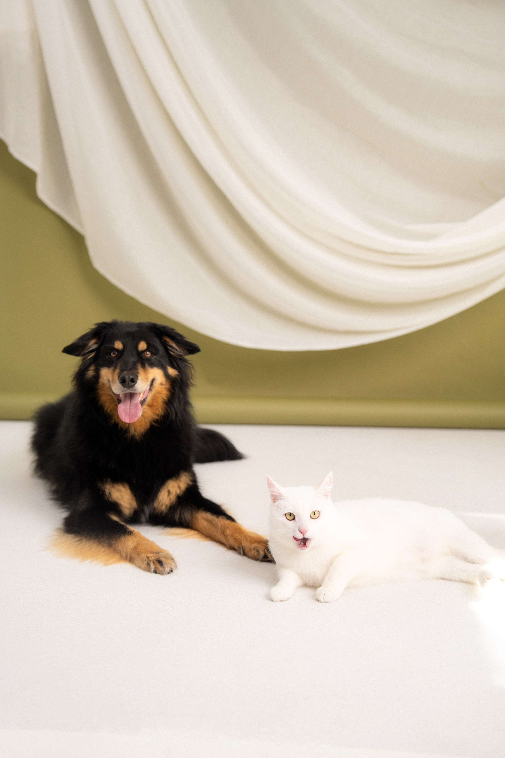 Marius, Gabrielė, Albas ir Atika ✨. Vita Klimaševska ○ Fluffy Soulmate Photography
