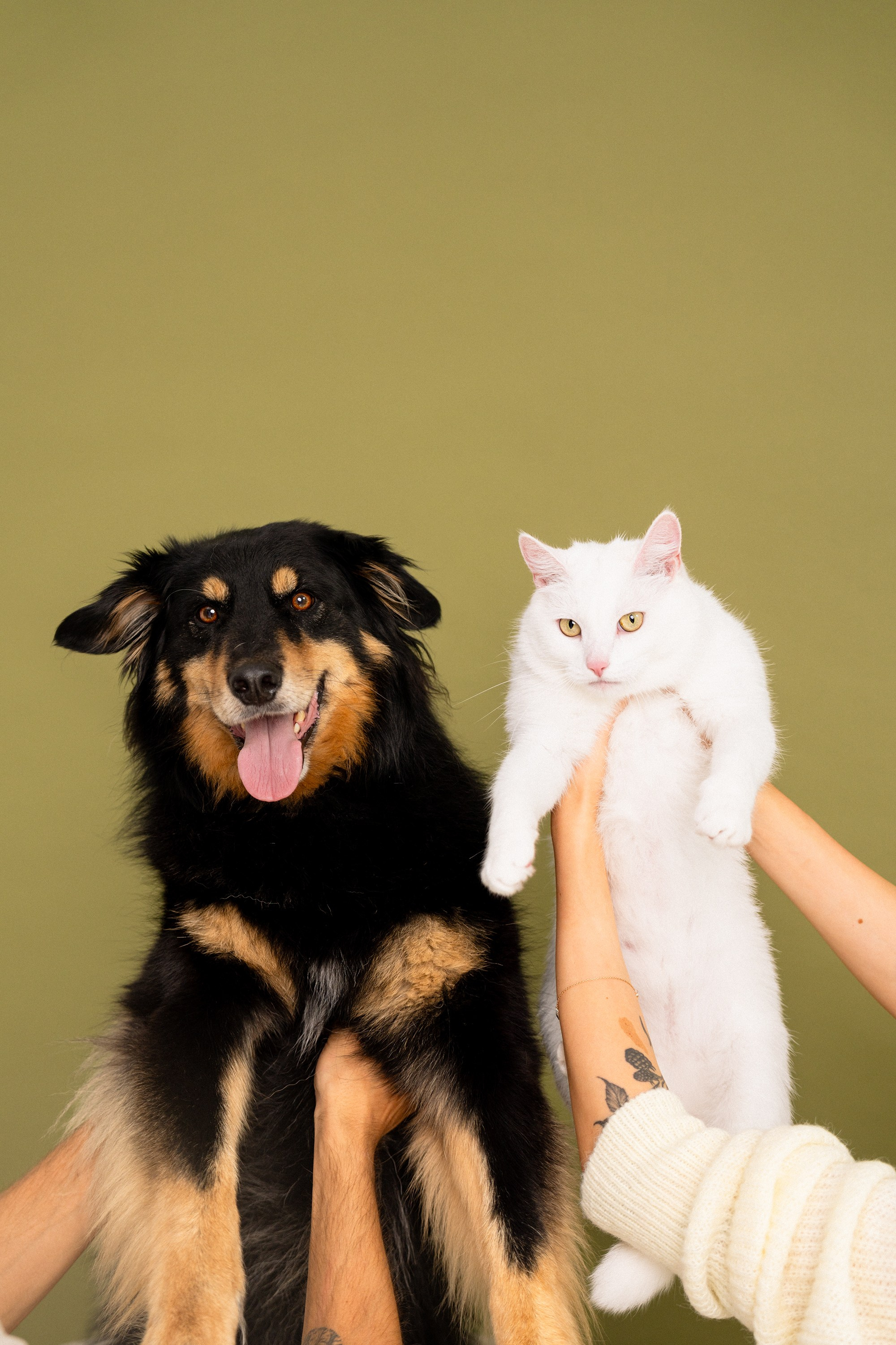 Marius, Gabrielė, Albas ir Atika ✨. Vita Klimaševska ○ Fluffy Soulmate Photography