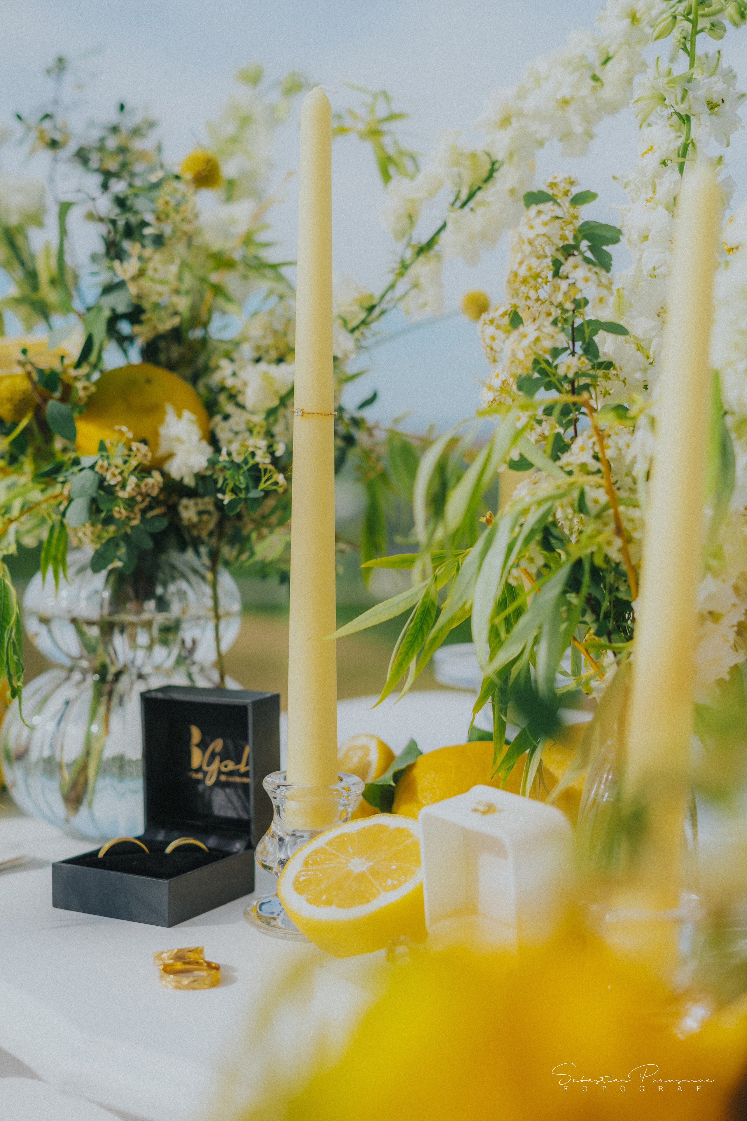 Love & Lemons. Sebastian Purusniuc Fotograf - Iasi