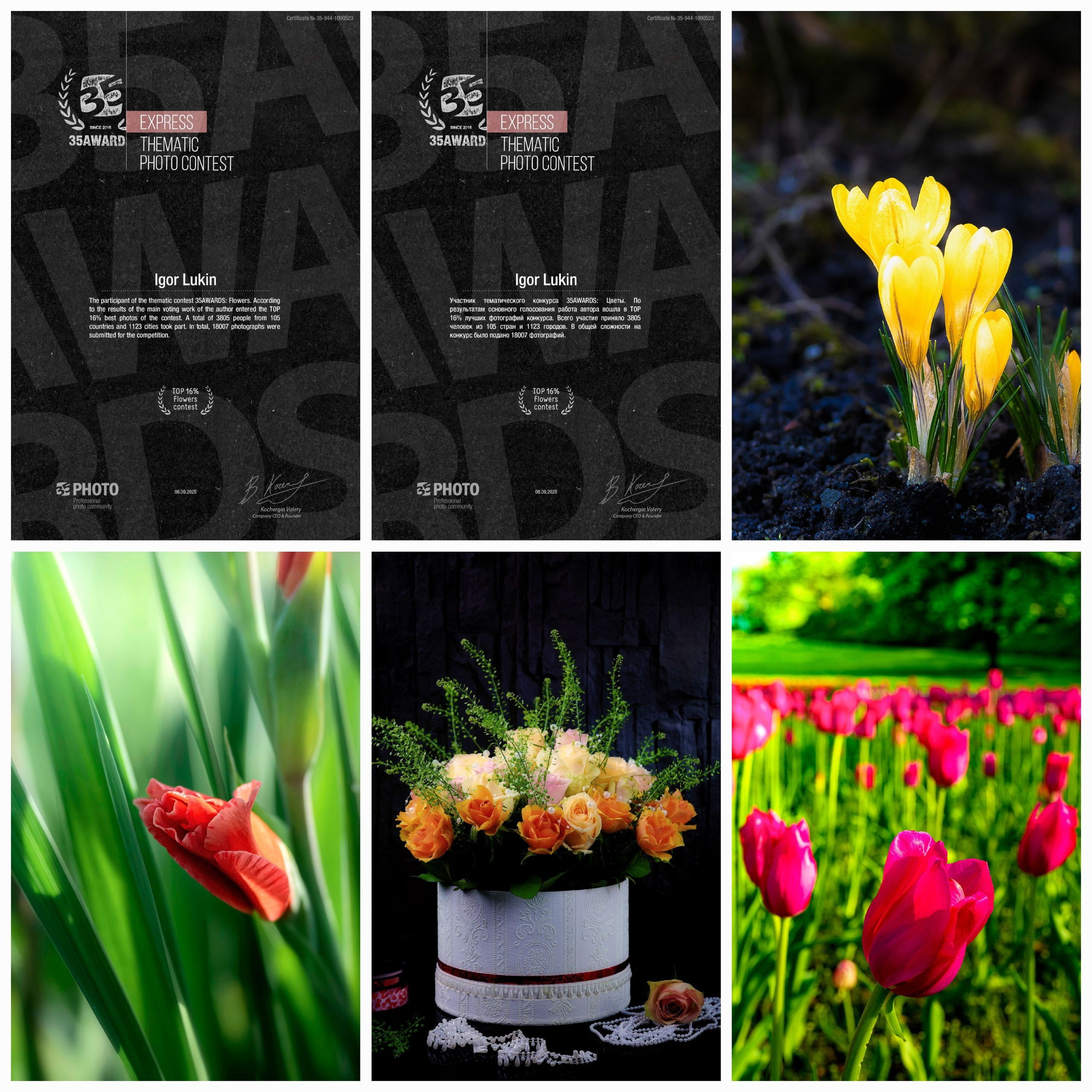 ЦВЕТЫ. LUKIN IGOR Photography