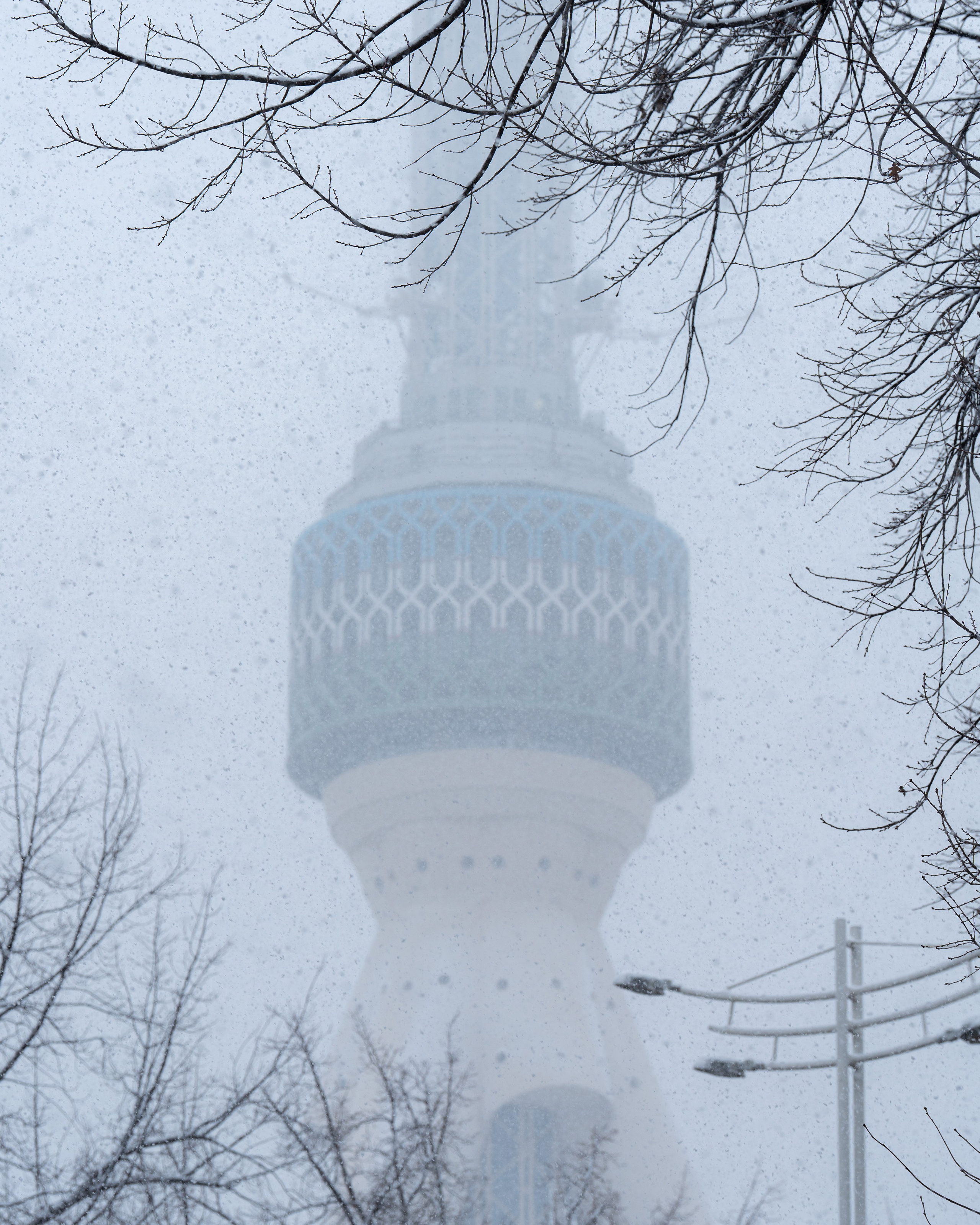 Первый снег в 2024 году. Георгий Намазов | Фотограф в Ташкенте