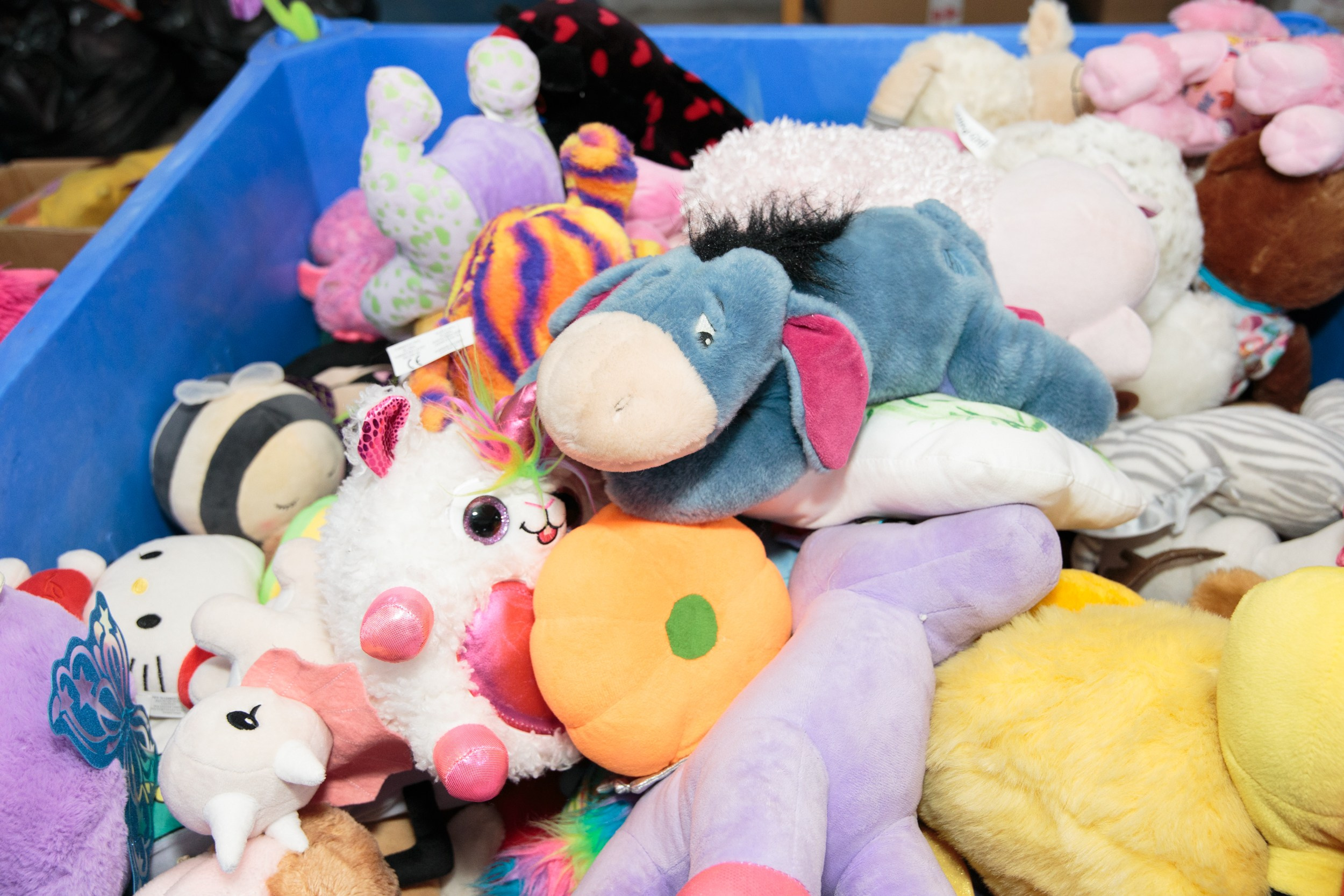 День Волонтера 07.12.2023. Портретный и репортажный фотограф в Израиле Рома Бирман