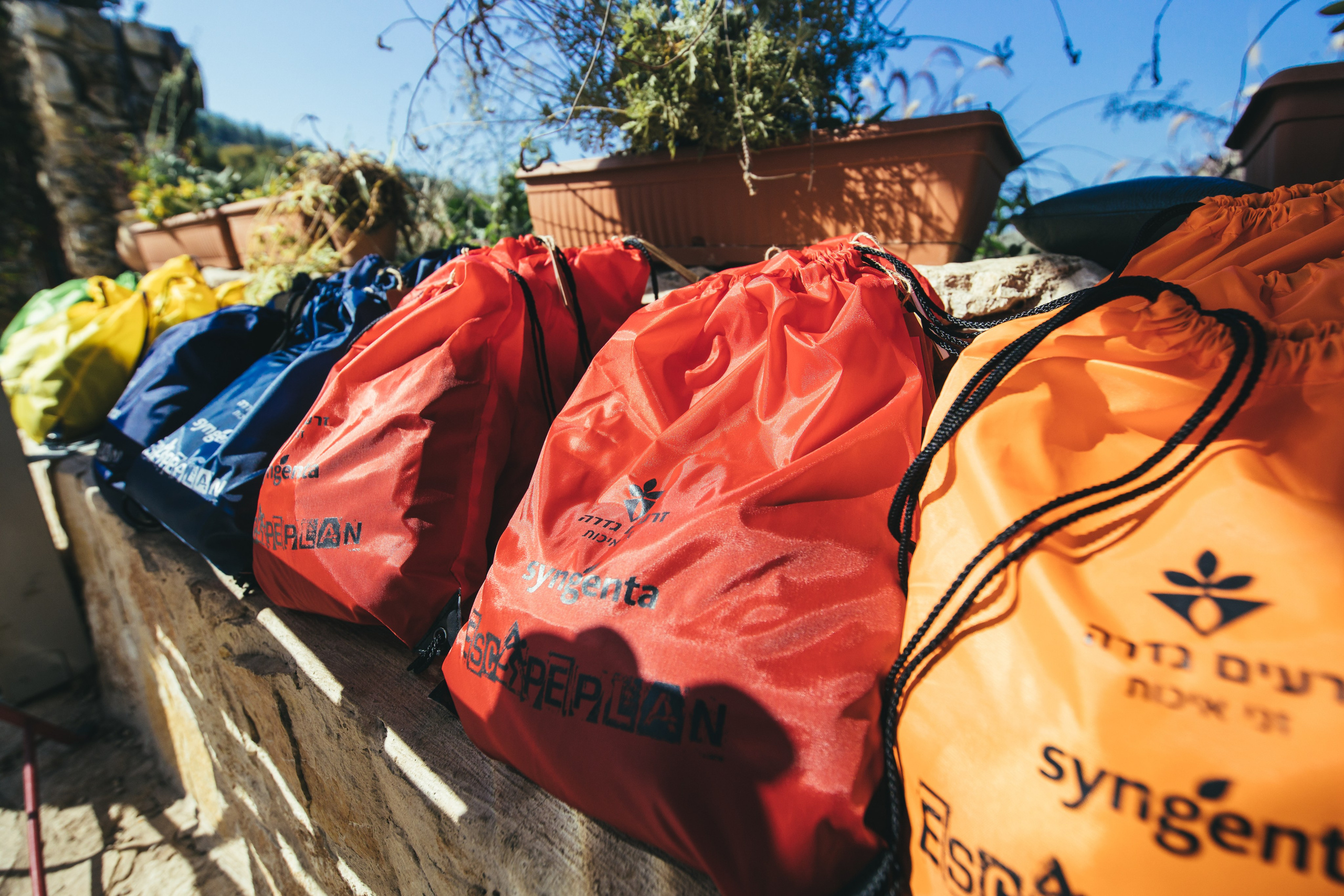 זרעי גדרה — SYNGENTA. AMIR BUCHNIK PHOTOGRAPHER