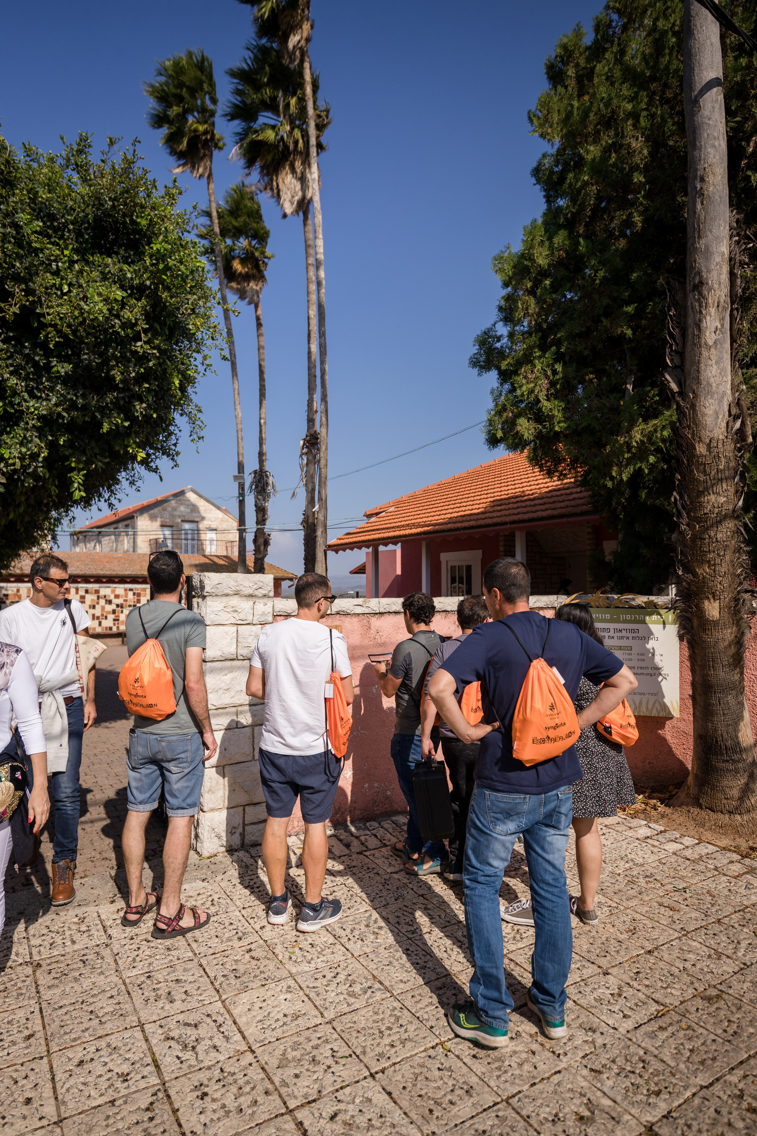 זרעי גדרה — SYNGENTA. AMIR BUCHNIK PHOTOGRAPHER